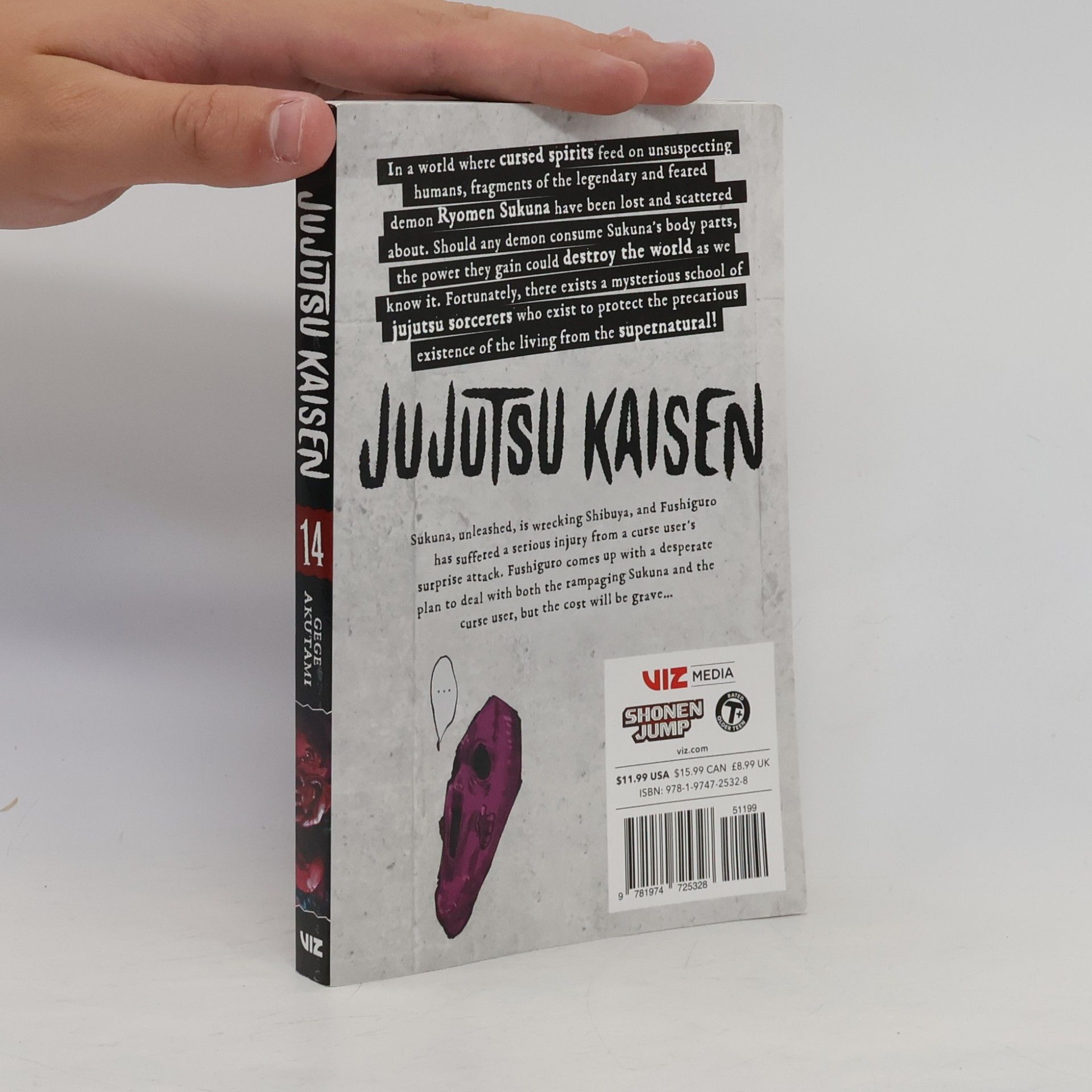 Gege Akutami Jujutsu Kaisen Volume 14