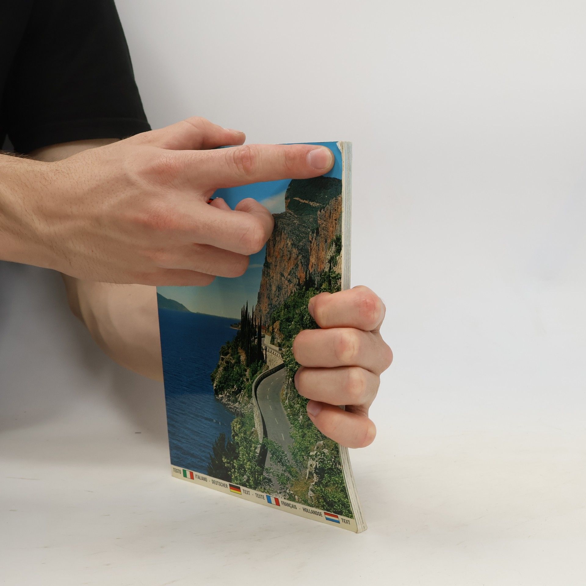 Collectif d'auteurs Guida Souvenir del Lago di Garda
