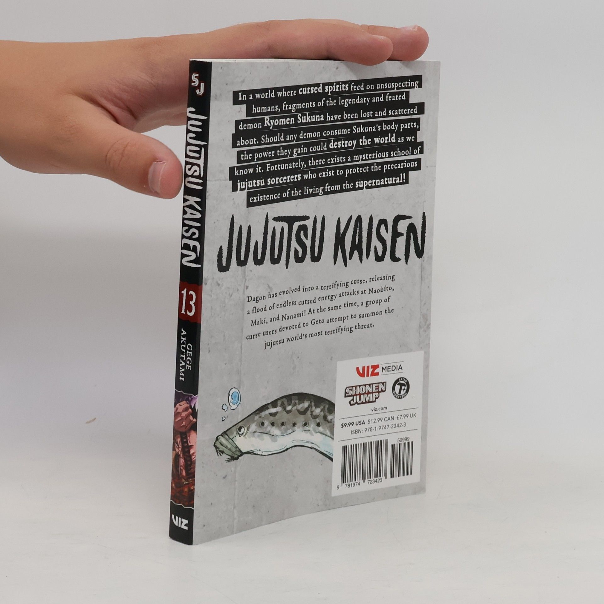 Gege Akutami Jujutsu Kaisen, Volume 13