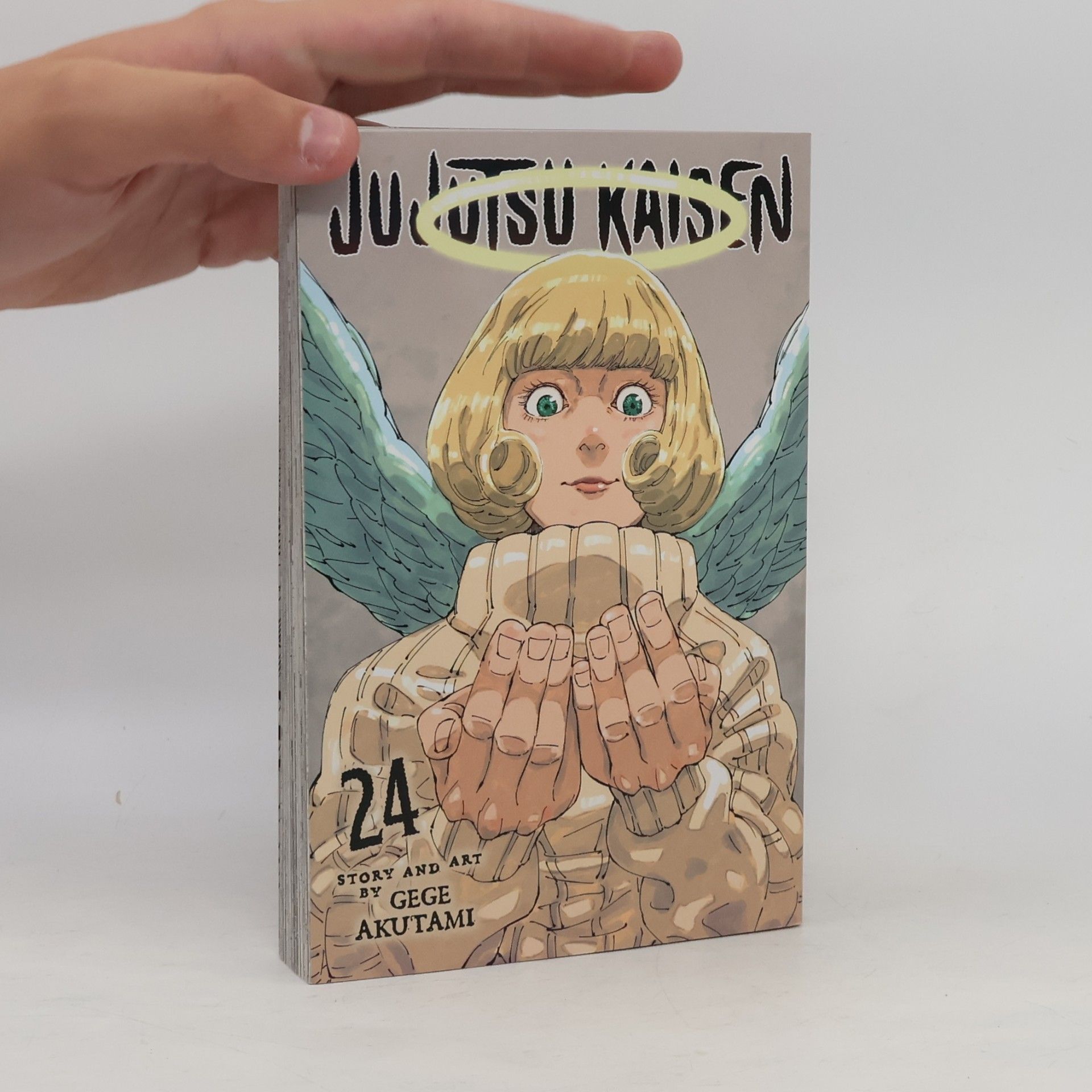Jujutsu Kaisen, Vol. 24