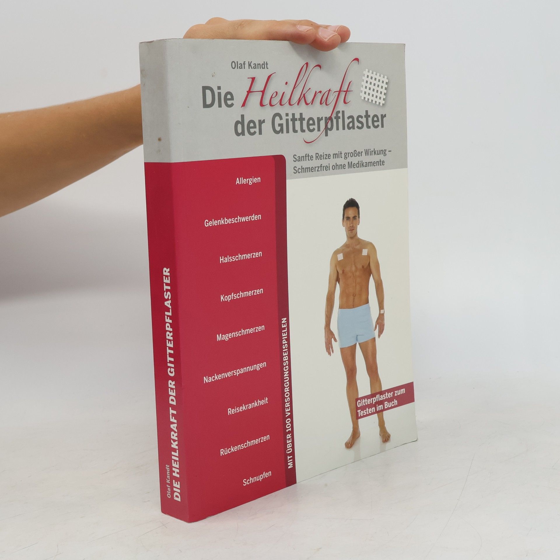 Olaf Kandt Die Heilkraft der Gitterpflaster