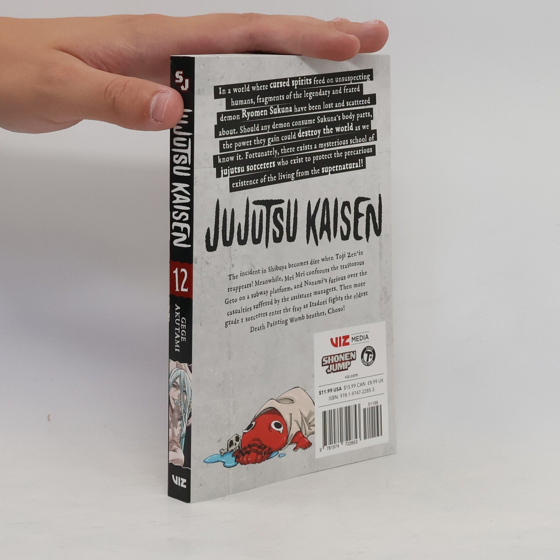 Gege Akutami Jujutsu Kaisen Volume 12