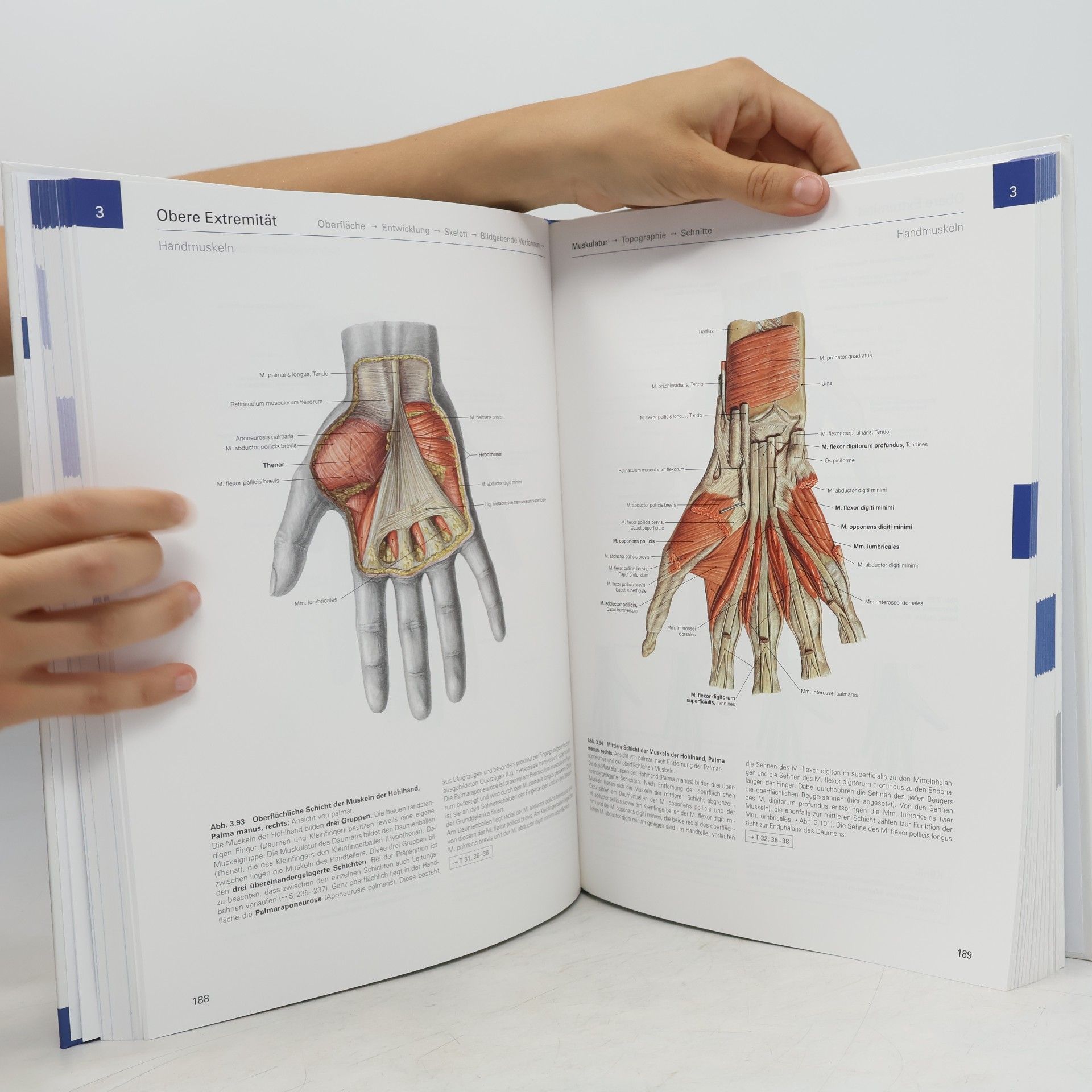 Johannes Sobotta Allgemeine Anatomie und Bewegungsapparat