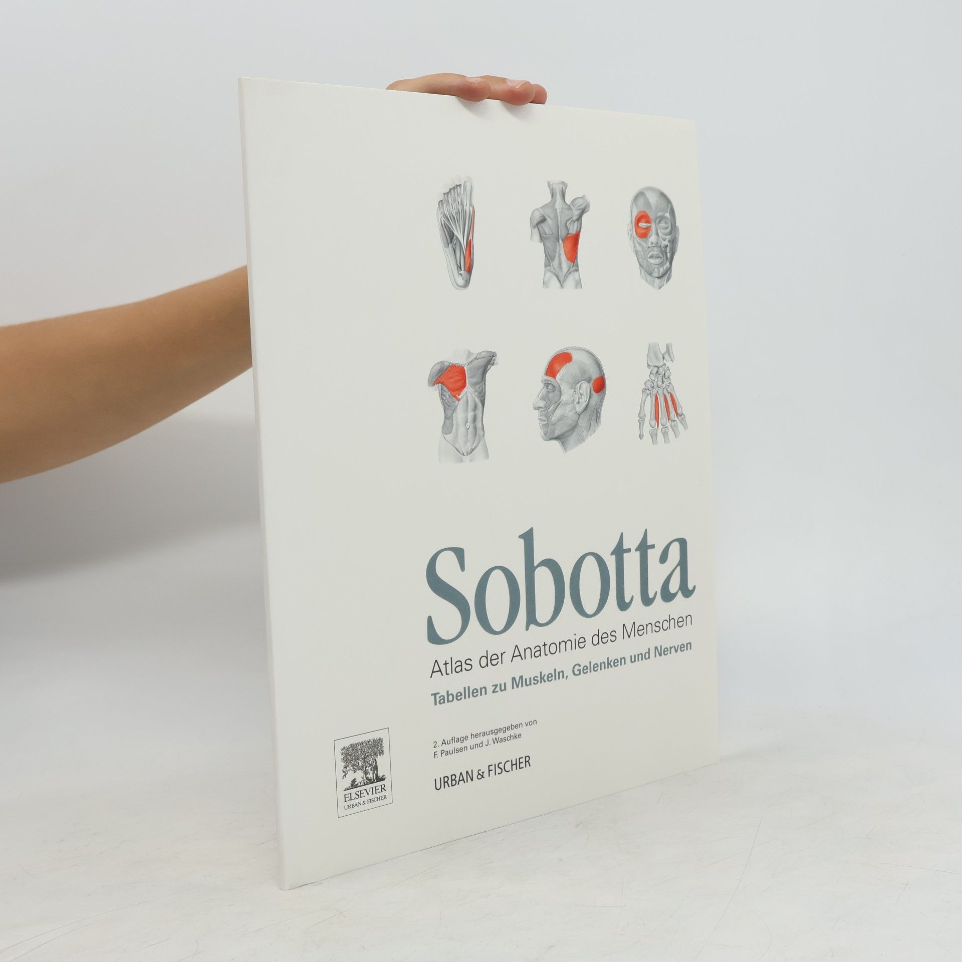 Johannes Sobotta Tabellen zu Muskeln, Gelenken und Nerven