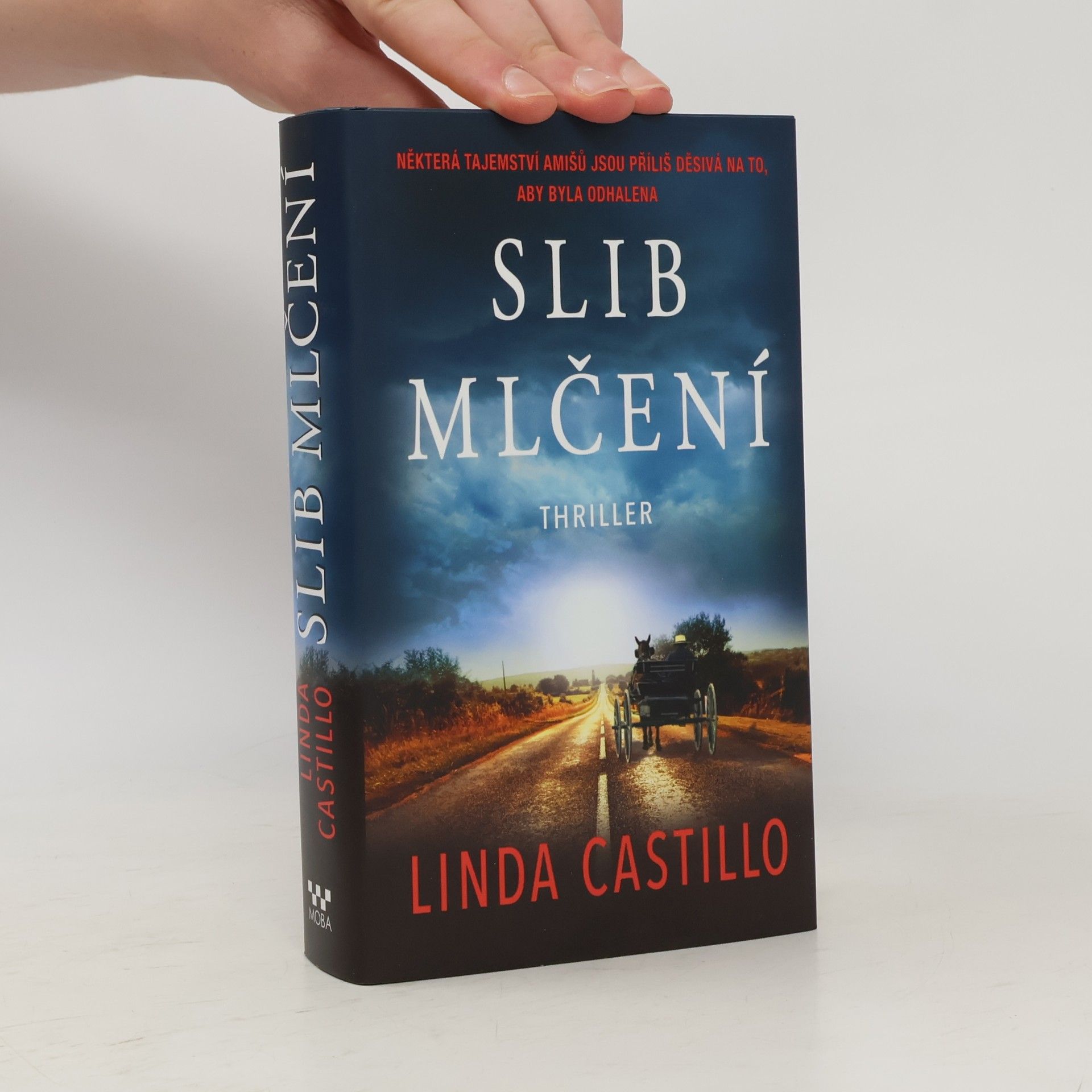 Linda Castillo Slib mlčení