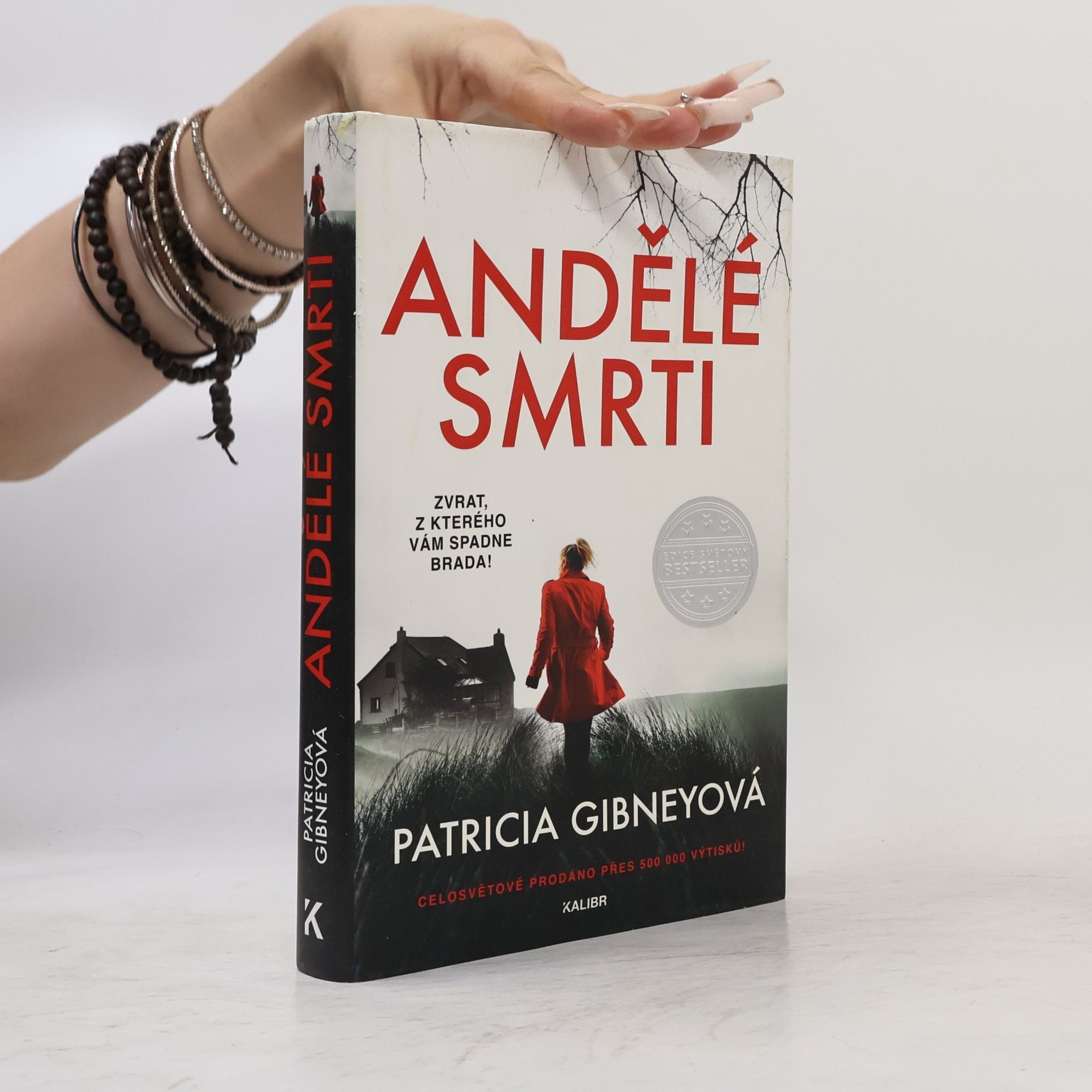 Patricia Gibney Andělé smrti