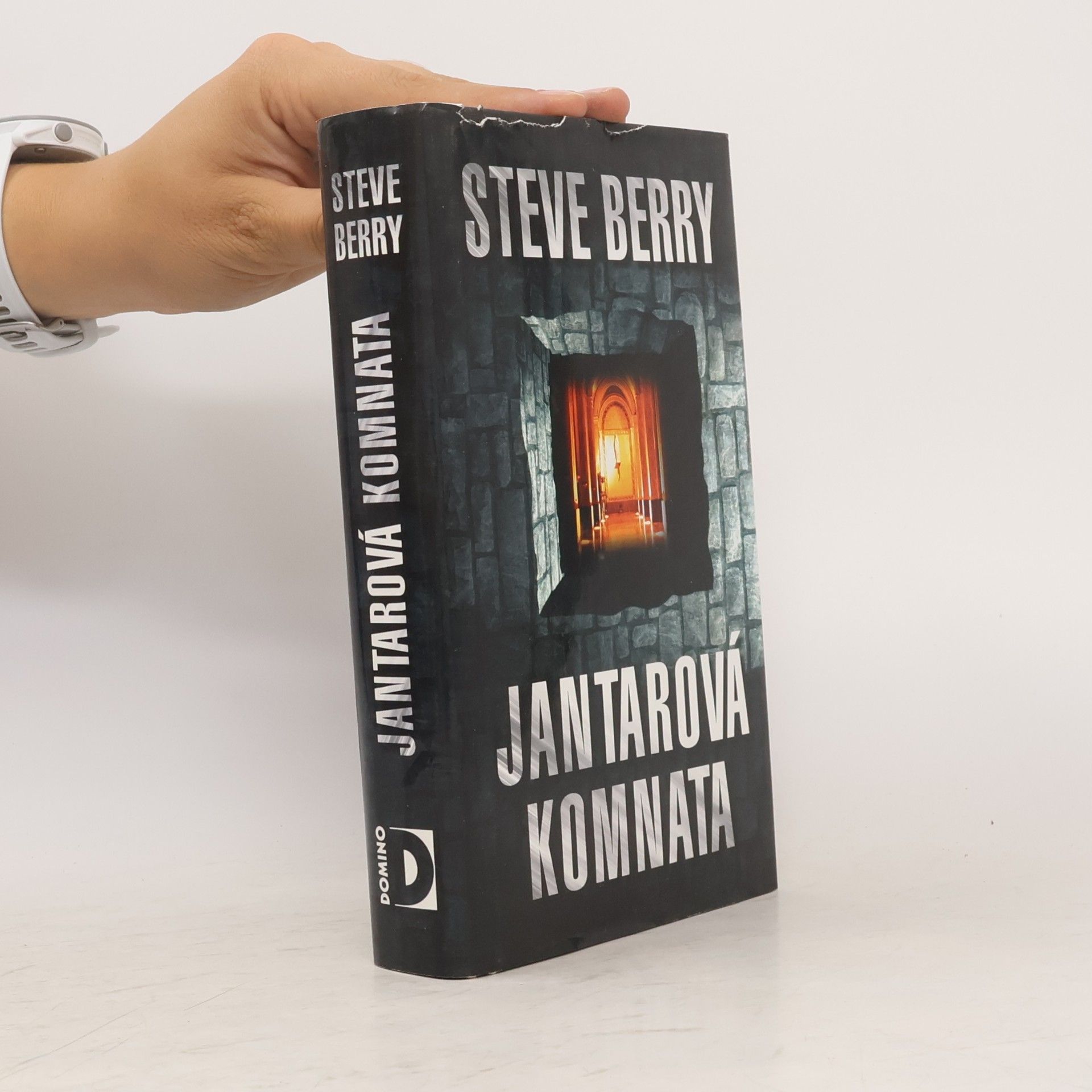 Steve Berry Jantarová komnata