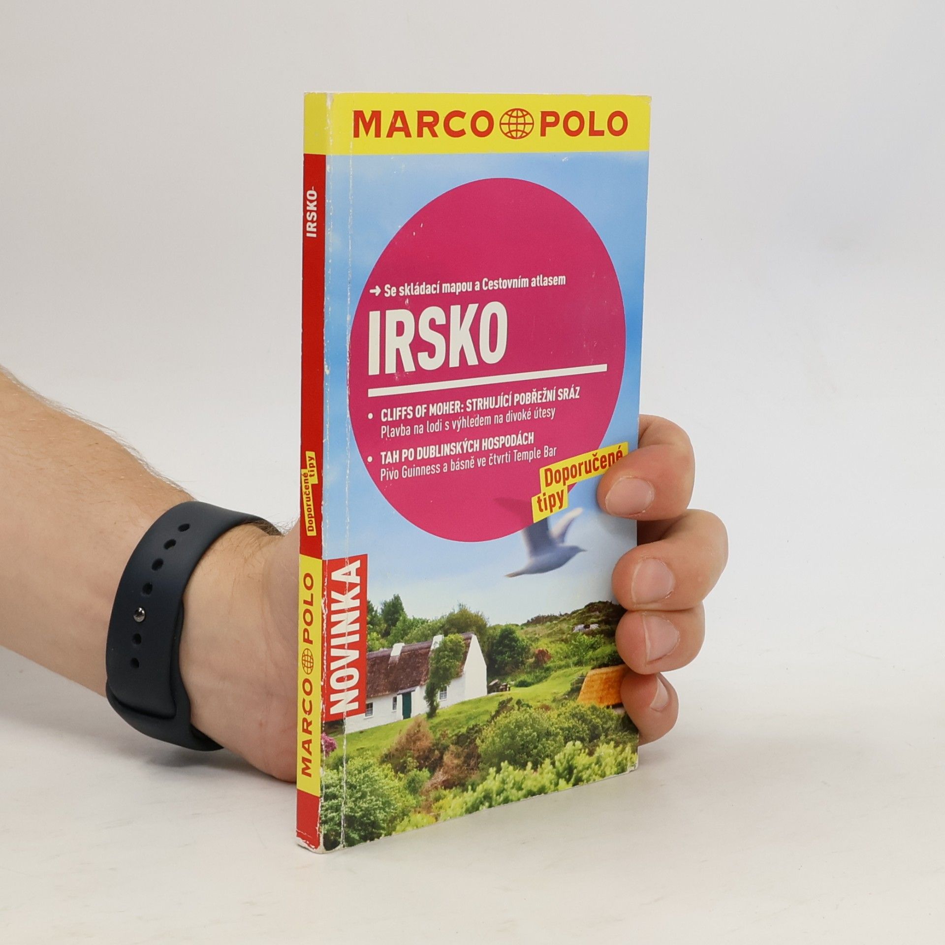 Manfred Wöbcke Irsko