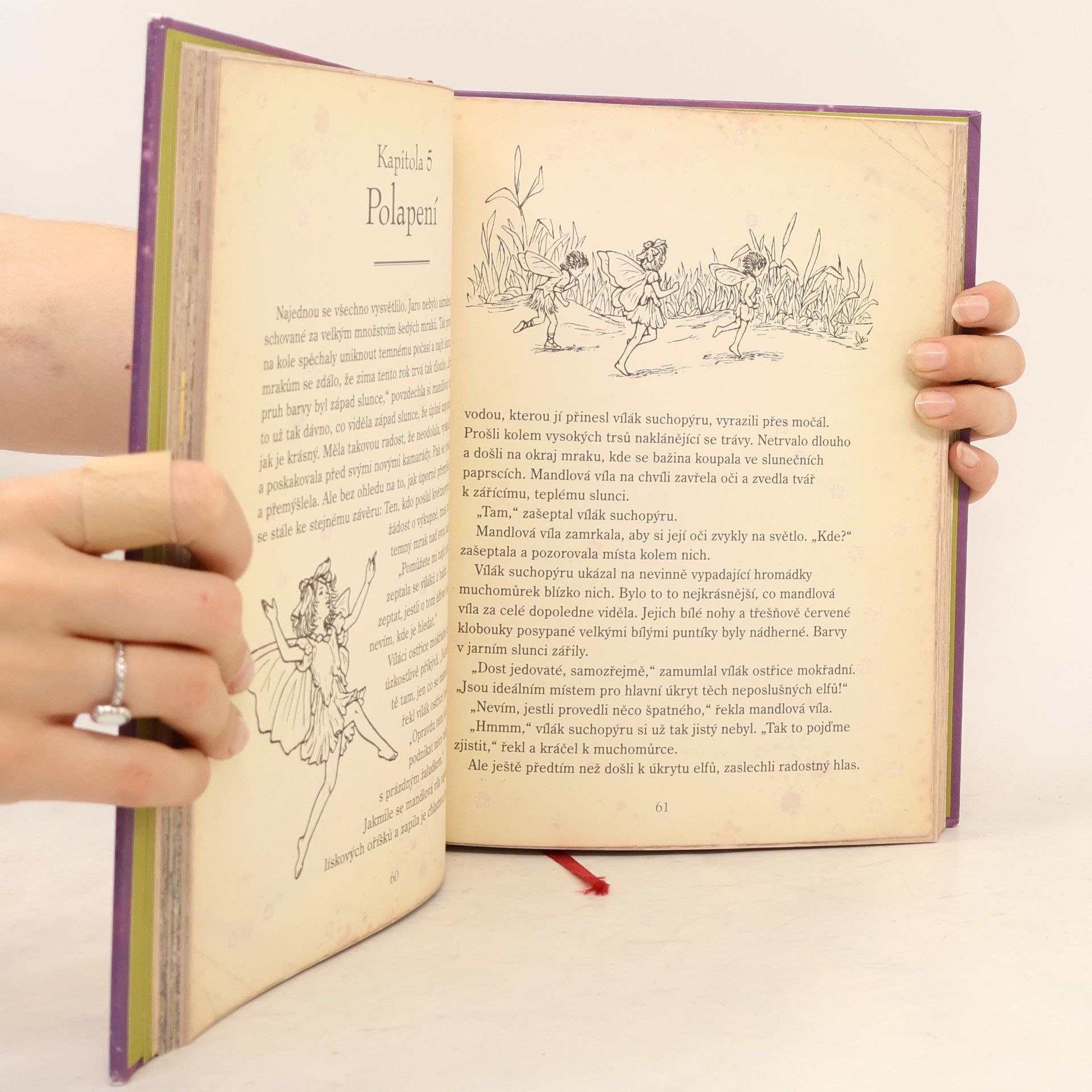 Cicely Mary Barker Květinové víly a jejich tajemný svět