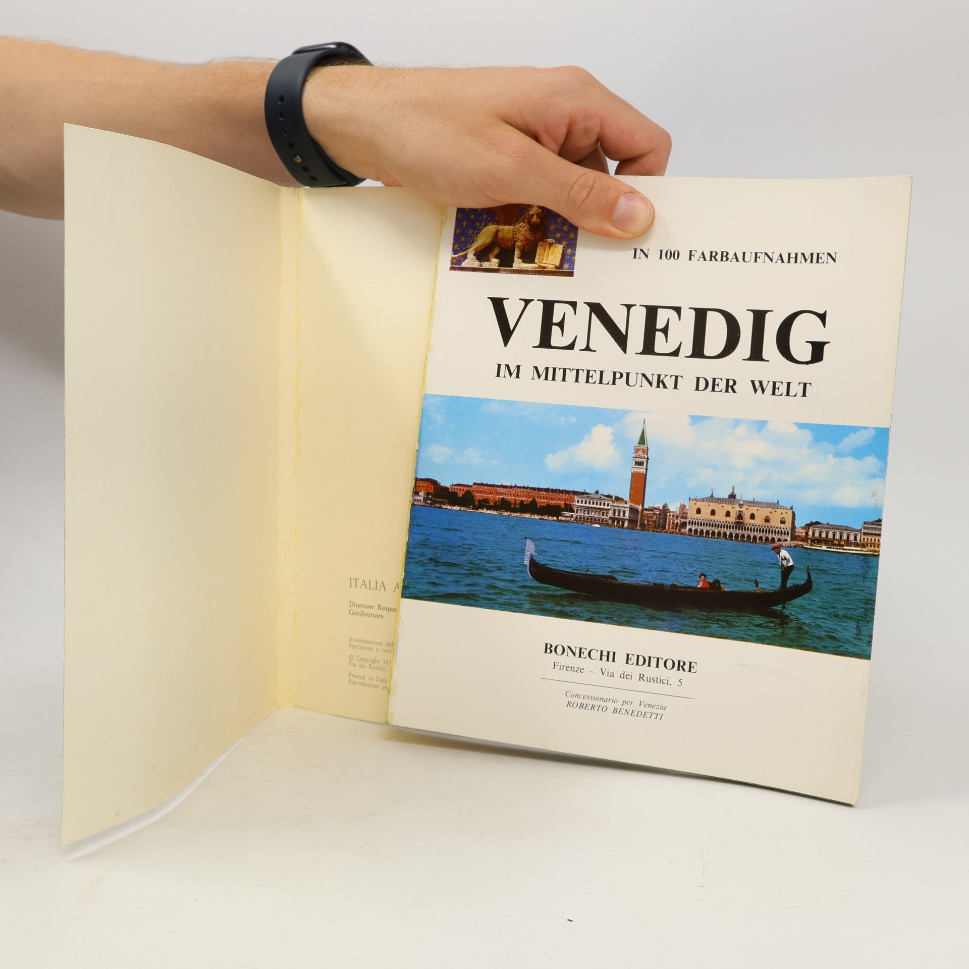 Vittorio Cuminetti Venedig im Mittelpunkt der Welt