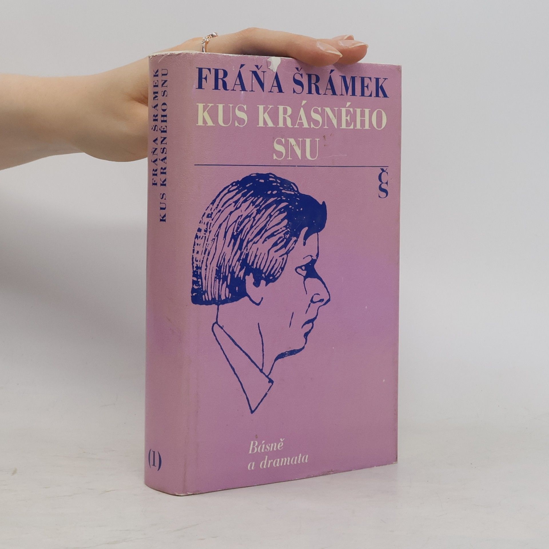 Kus krásného snu