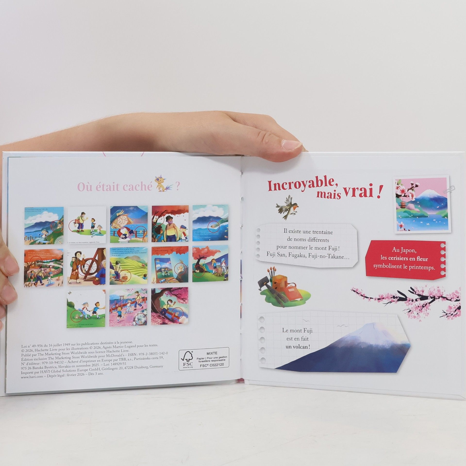 Agnès Martin-Lugand Les Flocons roses du mont Fuji