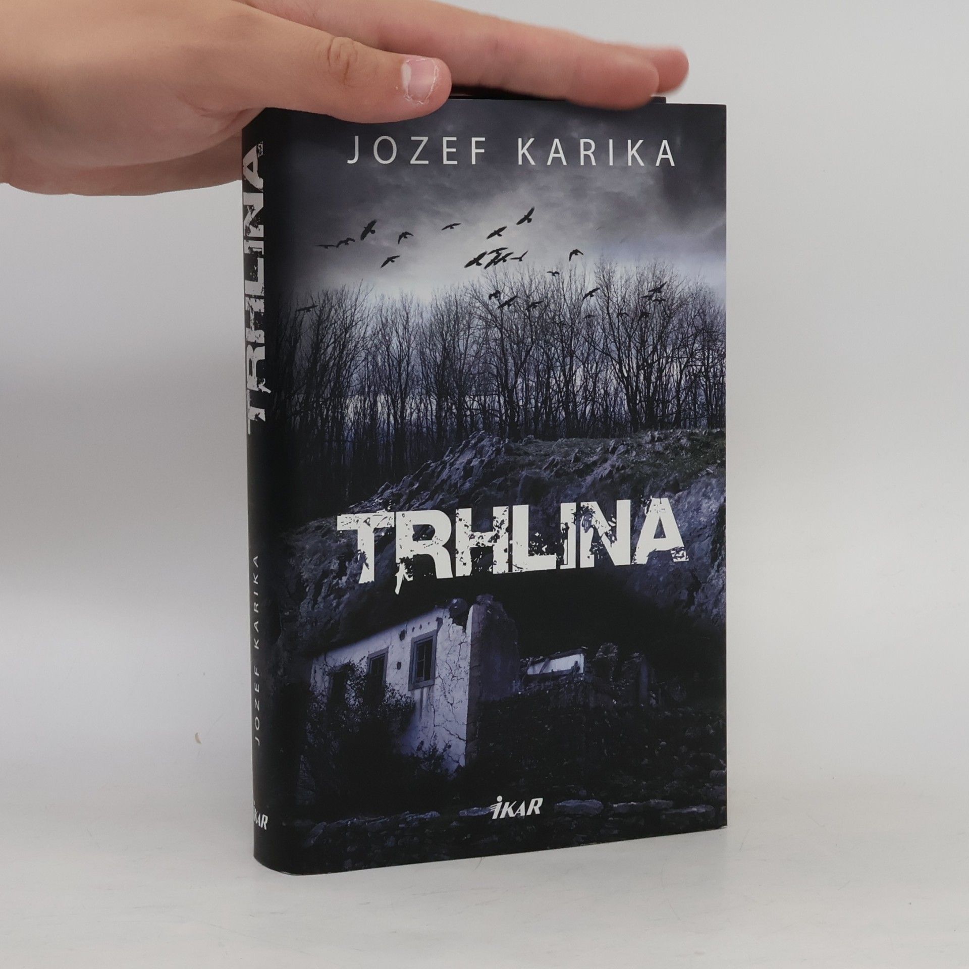 Jozef Karika Trhlina