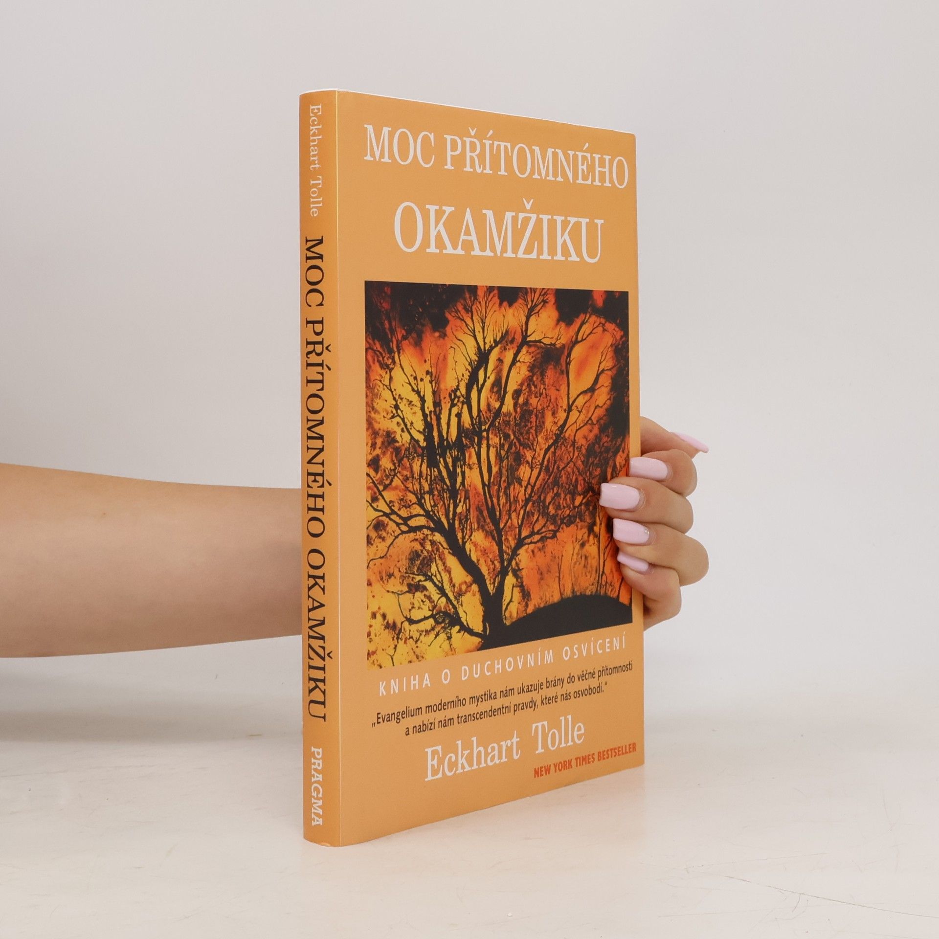 Eckhart Tolle Moc přítomného okamžiku