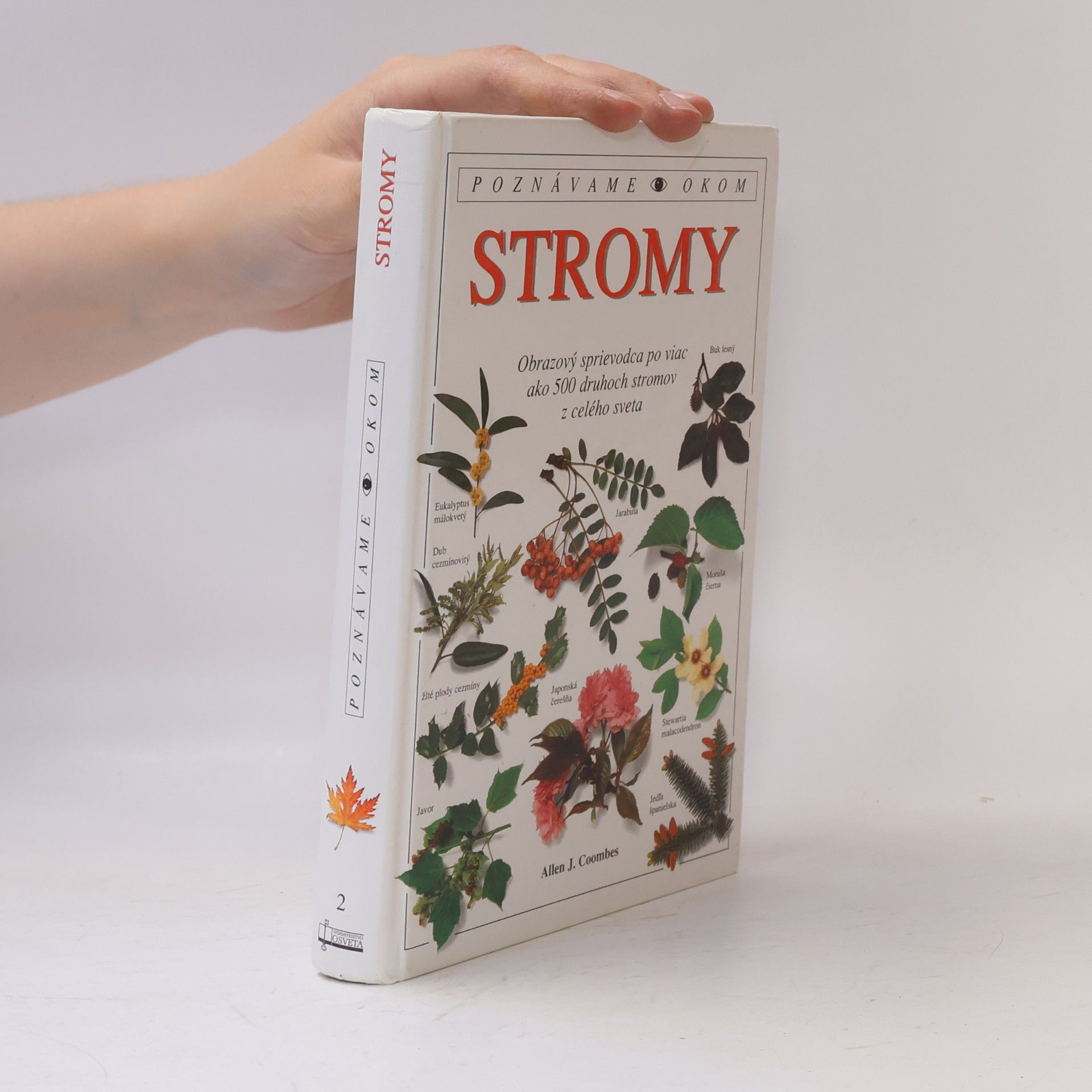 Stromy
