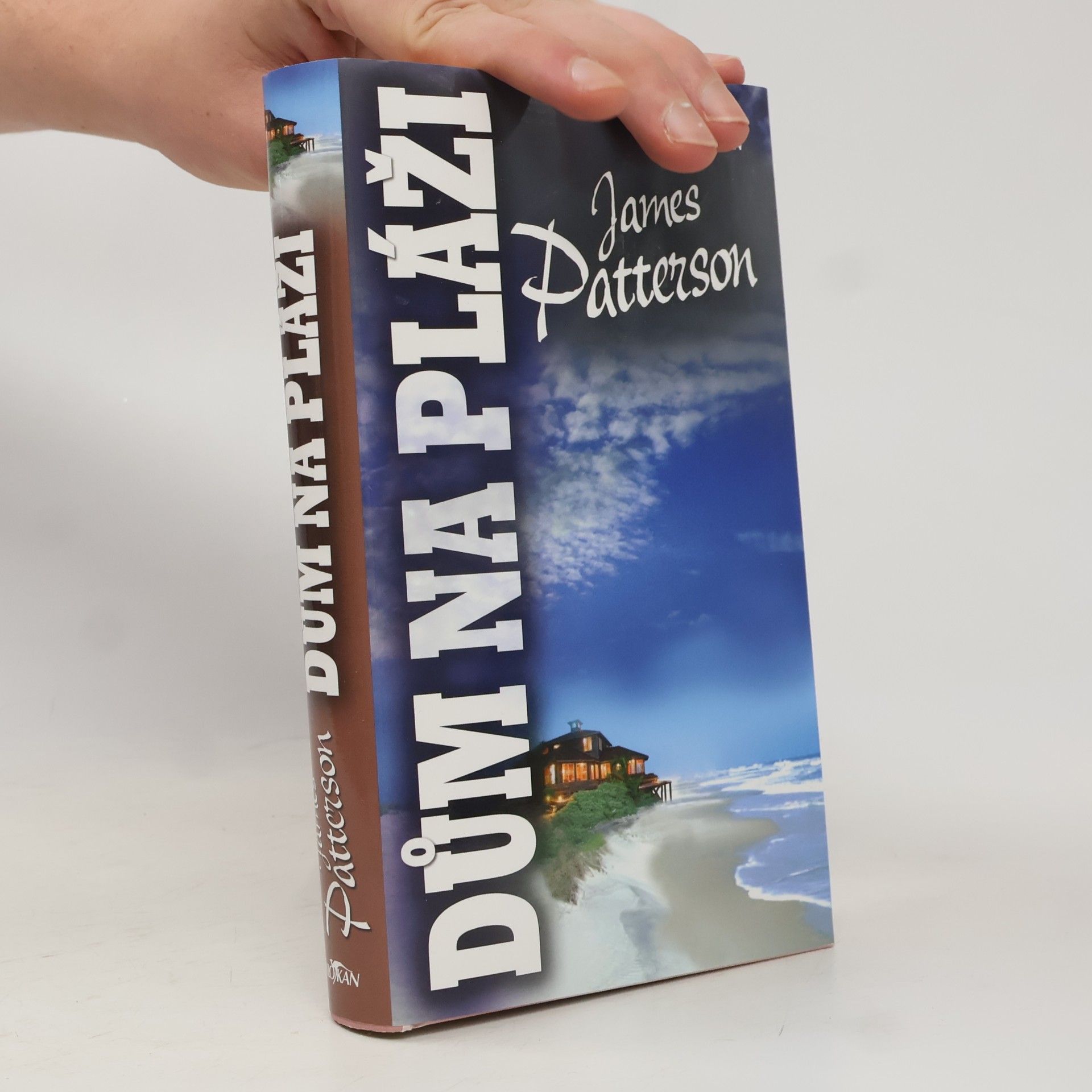 James Patterson Dům na pláži