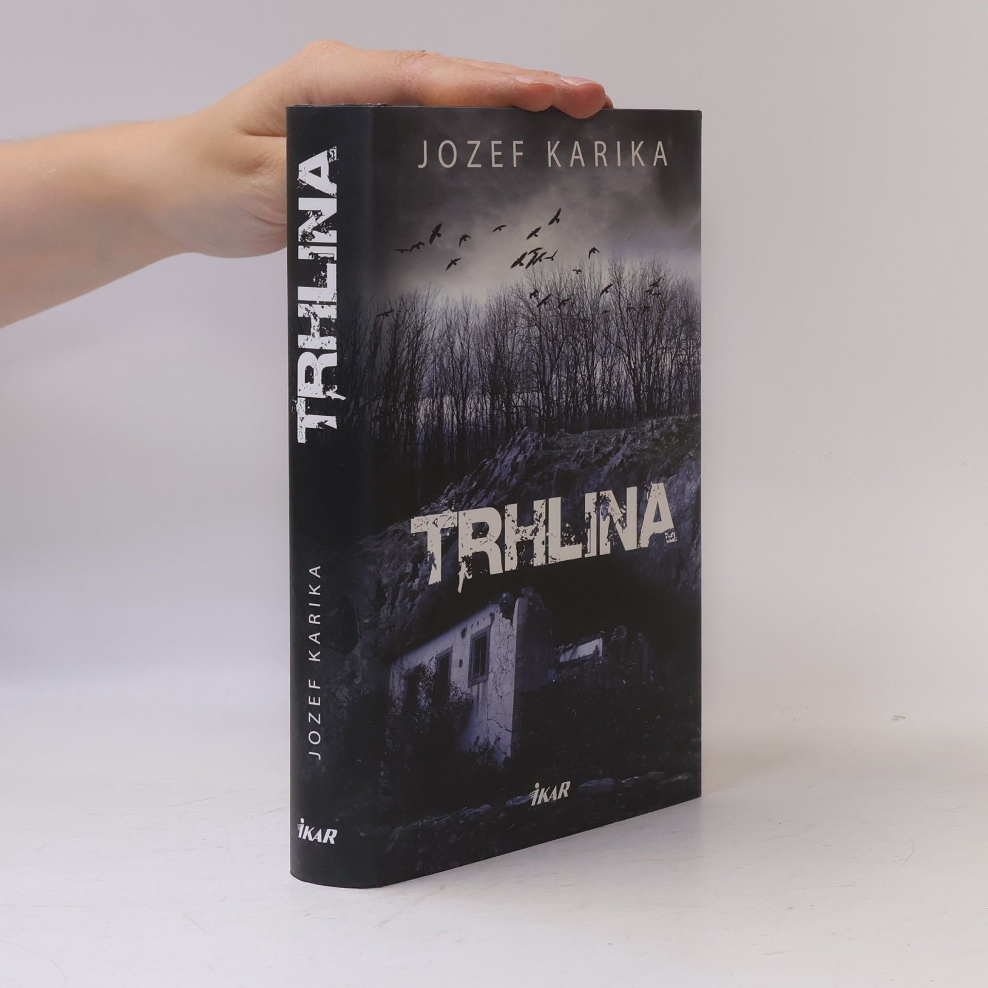 Jozef Karika Trhlina