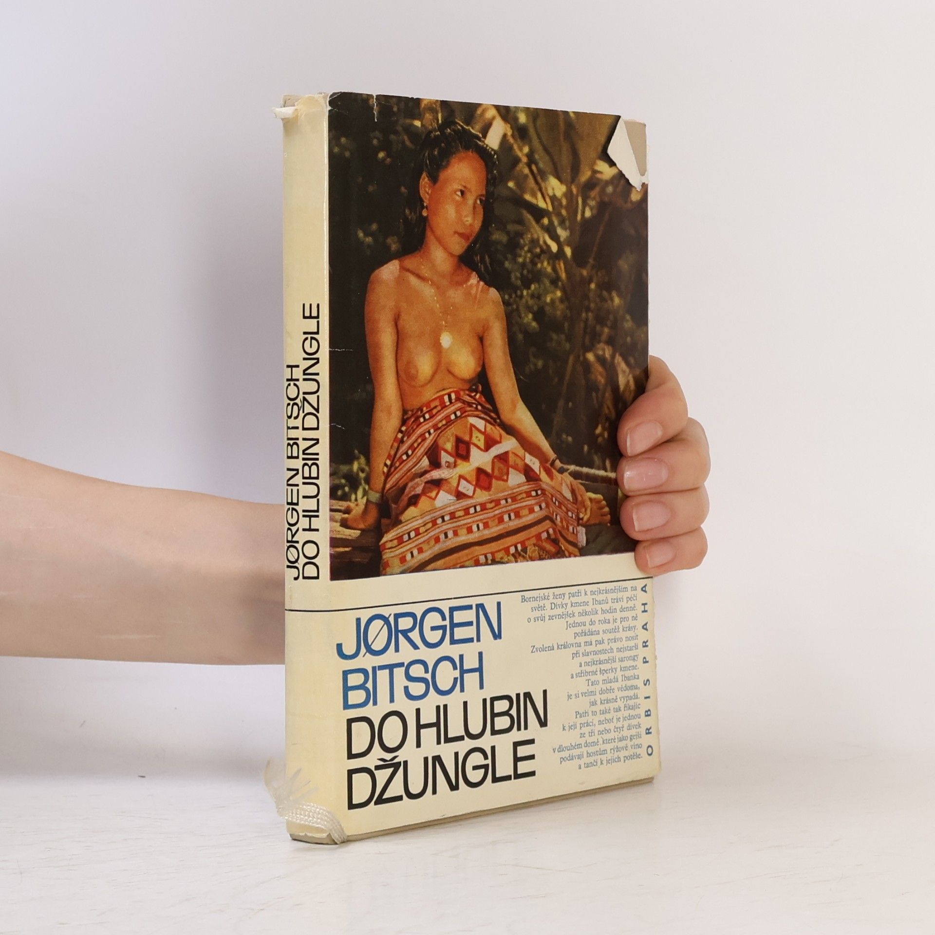 Jørgen Bitsch Do hlubin džungle