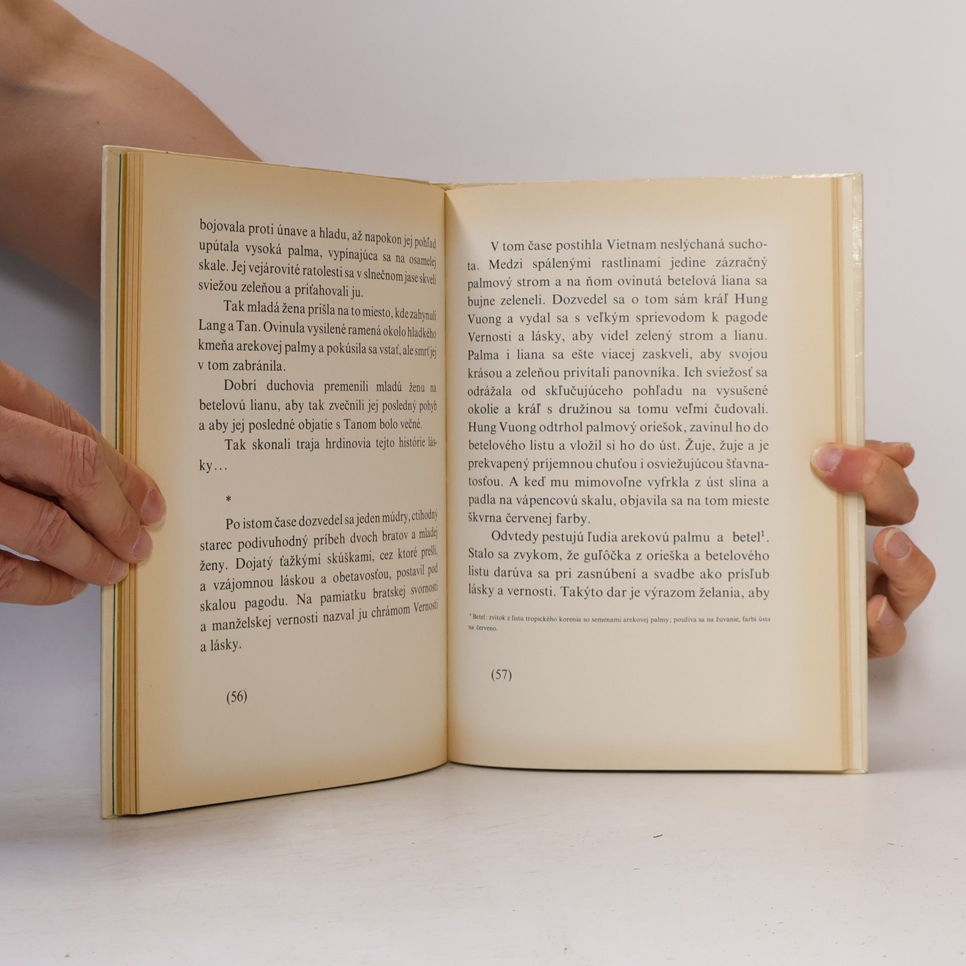 Various authors Z kalicha ibišového kvetu