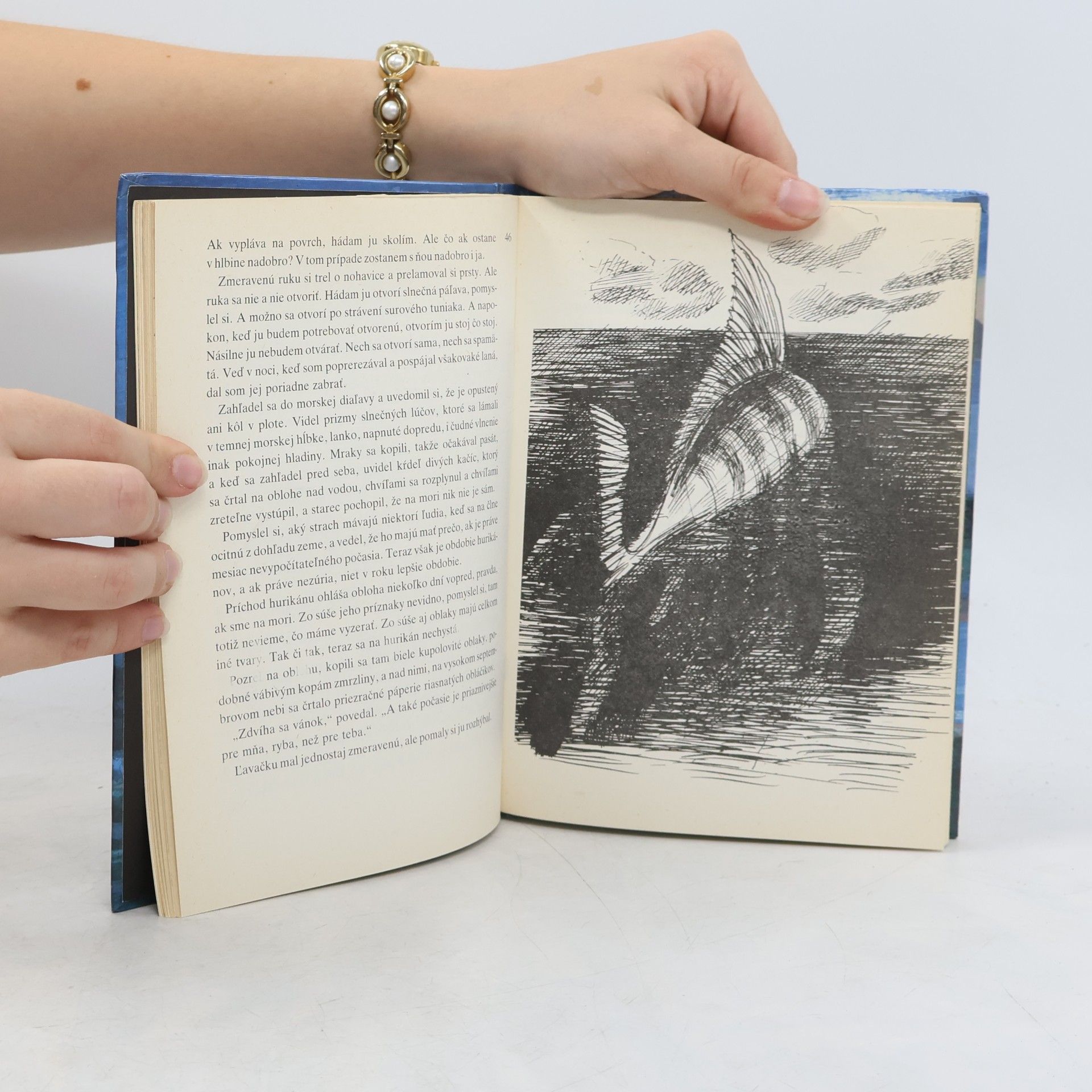 Ernest Hemingway Starec a more