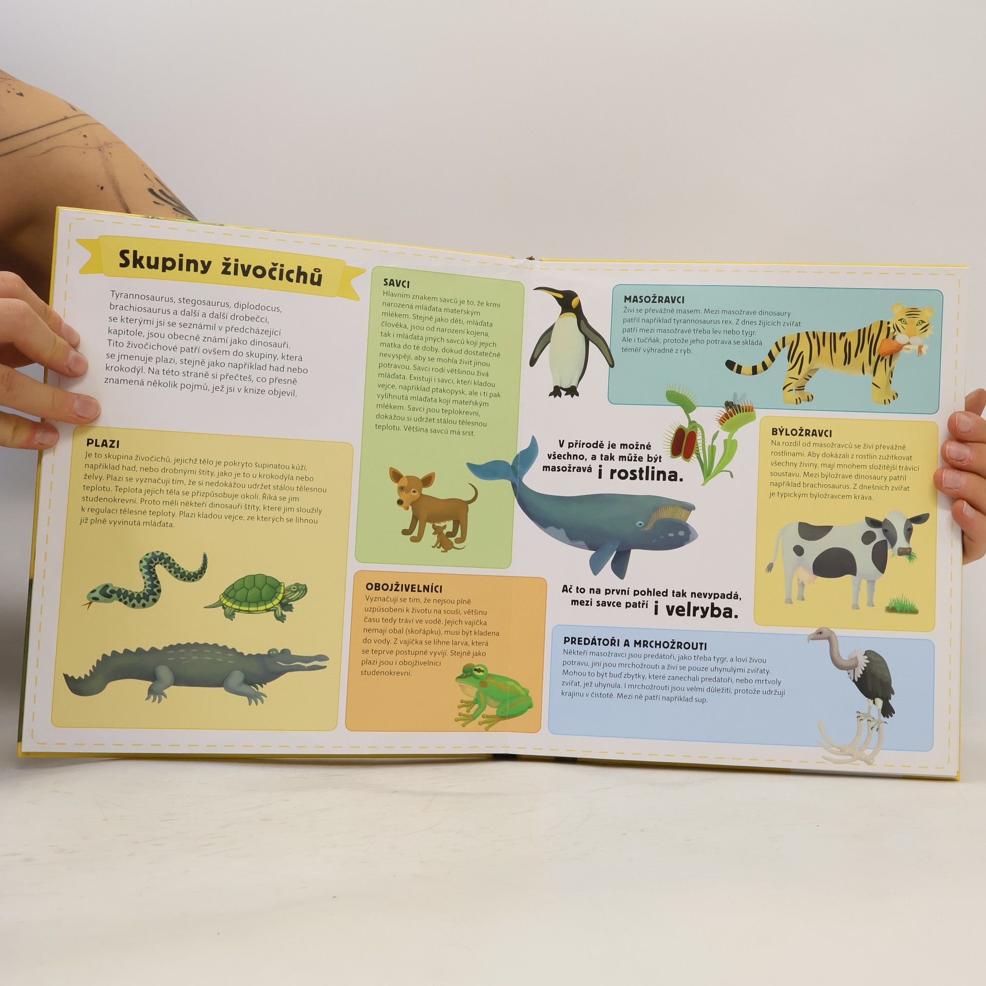 Tomáš Tůma Atlas prehistorie pro děti. Od počátku Země po čtvrtohory