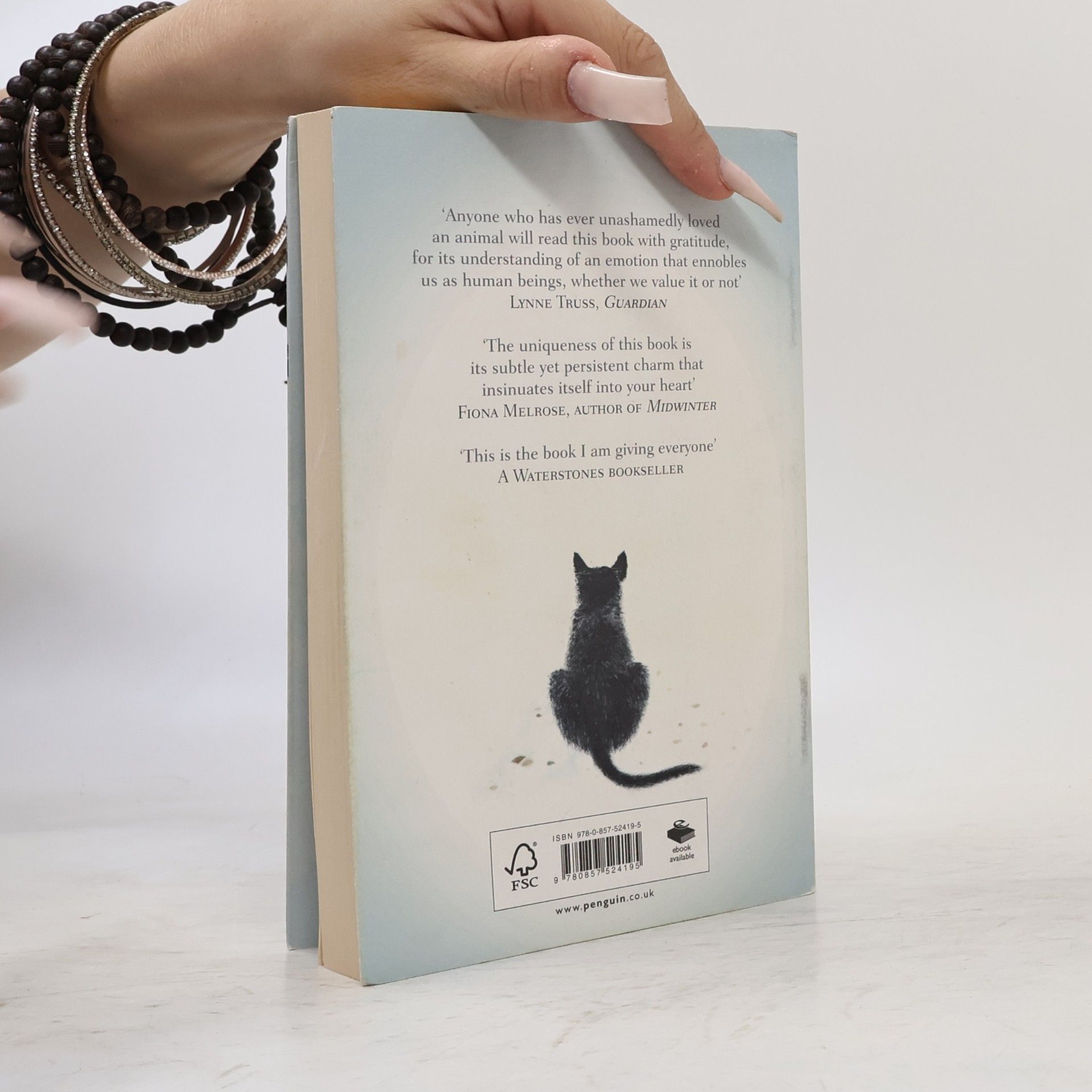 Hiro Arikawa The travelling cat chronicles