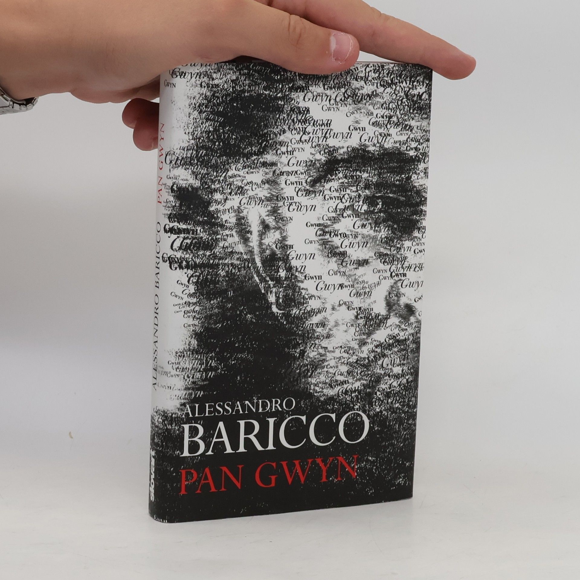 Alessandro Baricco Pan Gwyn