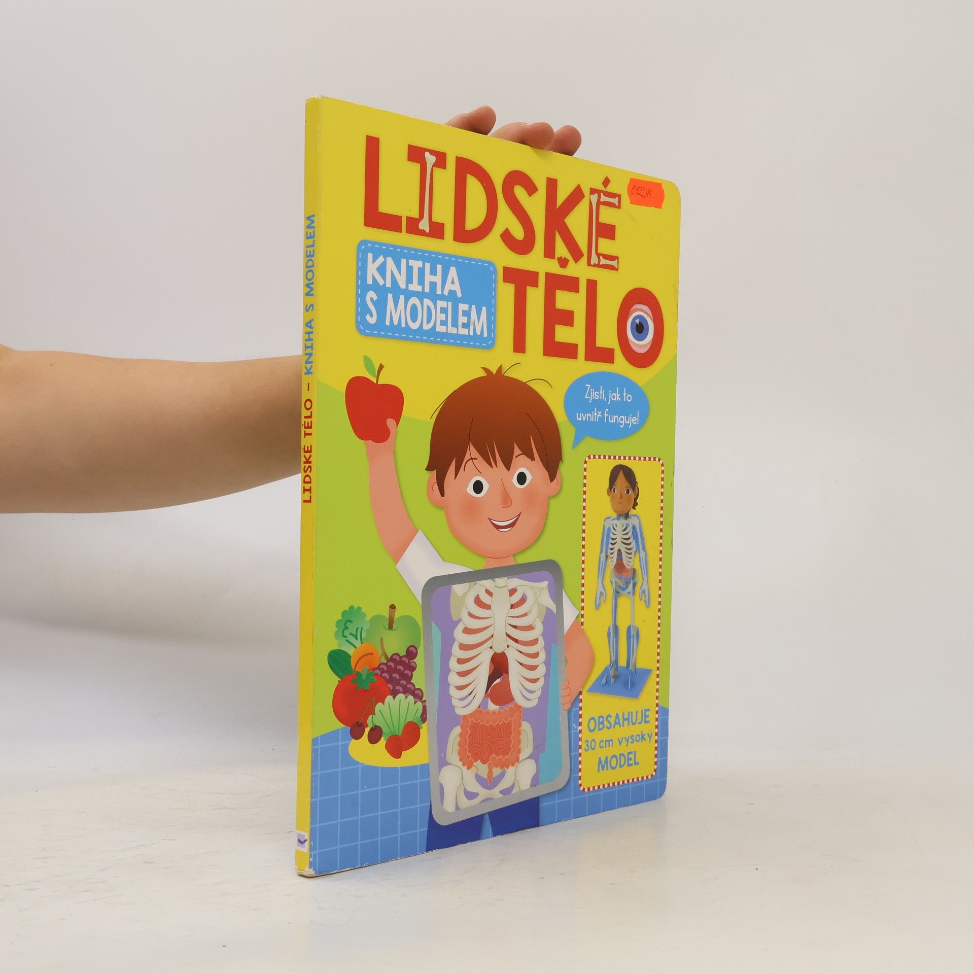 Lidské tělo
