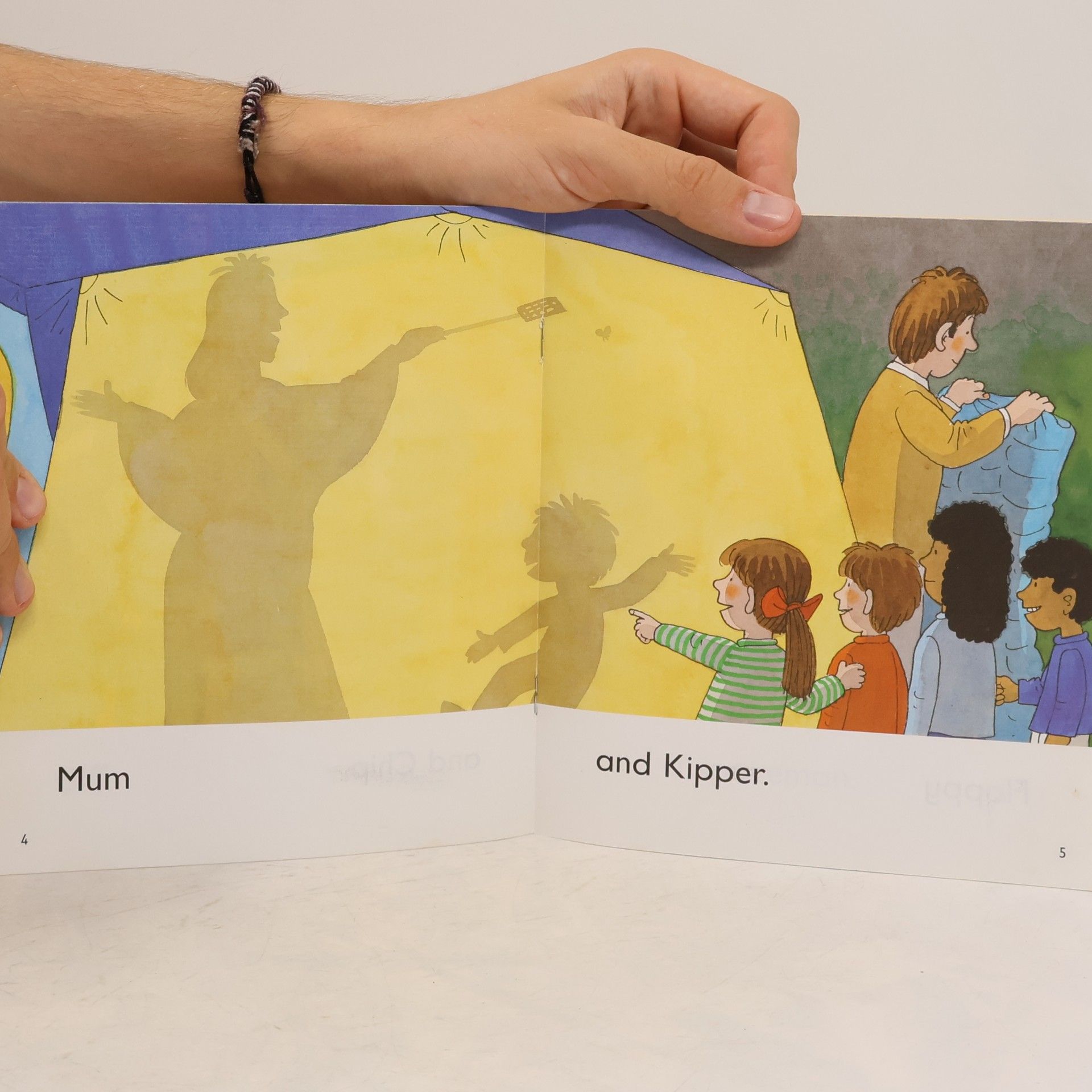 Roderick Hunt Oxford Reading Tree: Level 1: First Words: Who Is It?