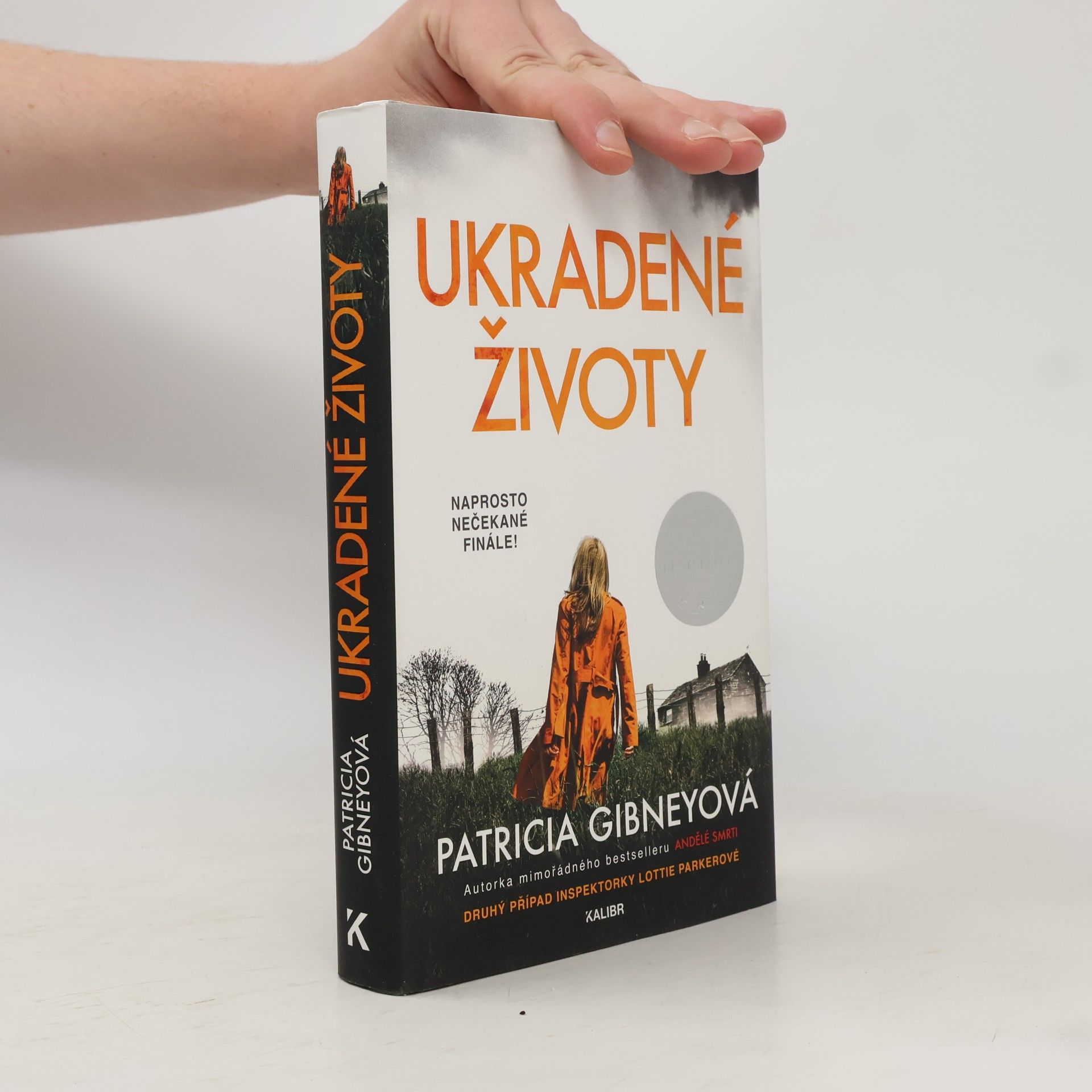 Patricia Gibney Ukradené životy