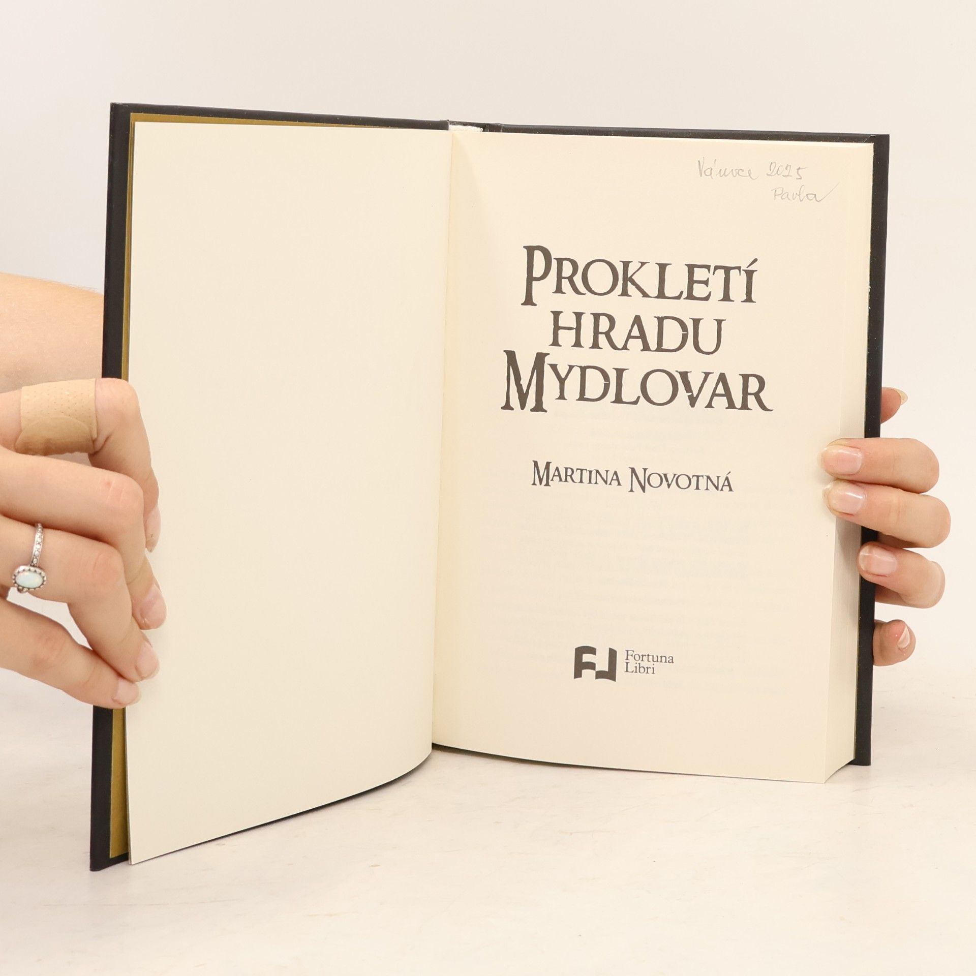 Martina Novotná Prokletí hradu Mydlovar