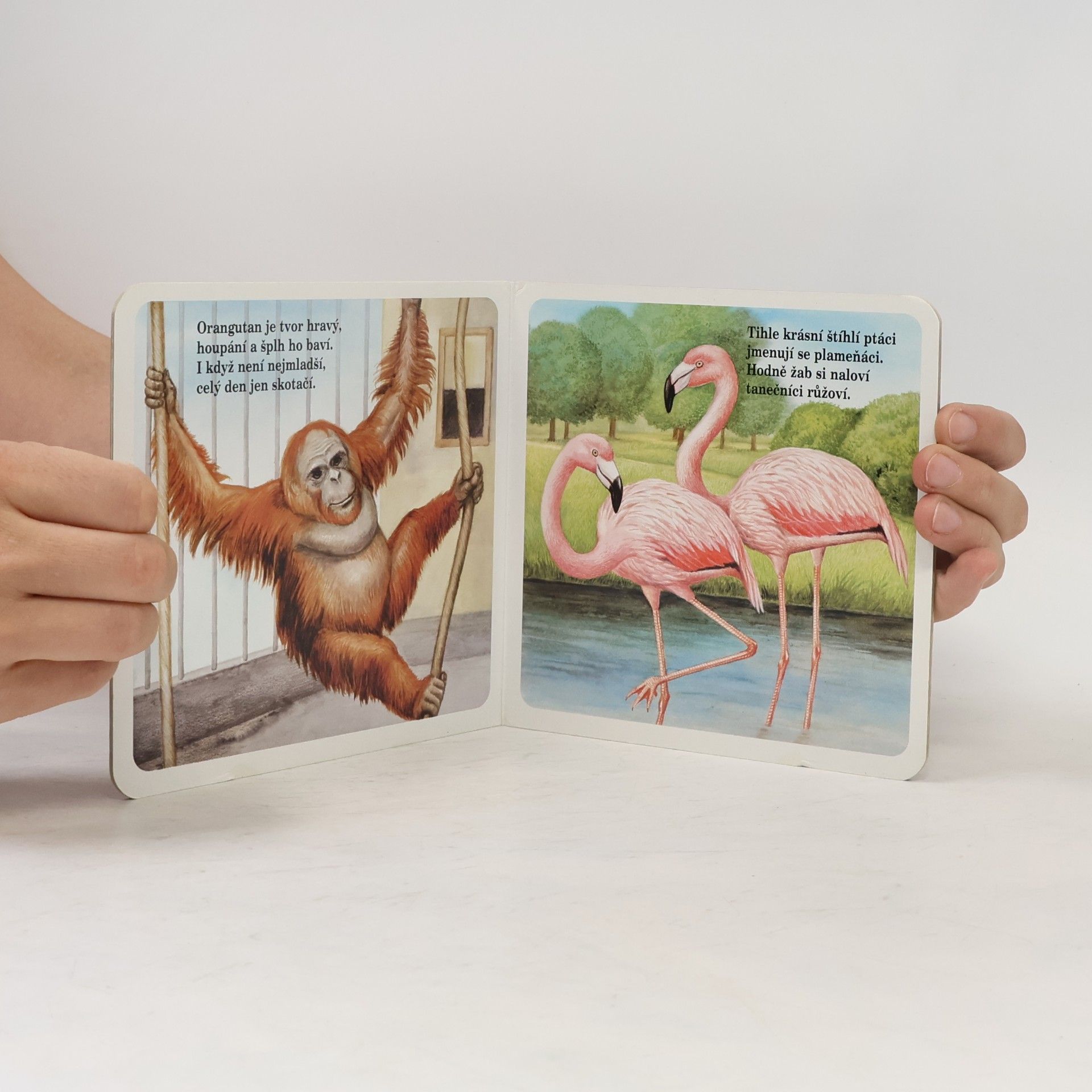 Jiří Žáček Zvířátka v ZOO