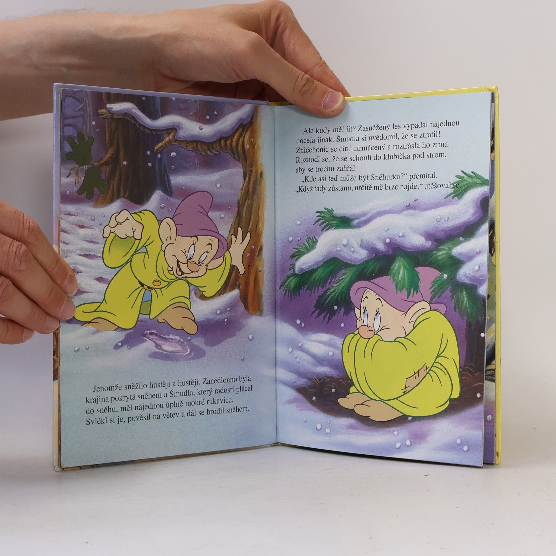 Autorenkollektiv Sněhurčiny Vánoce