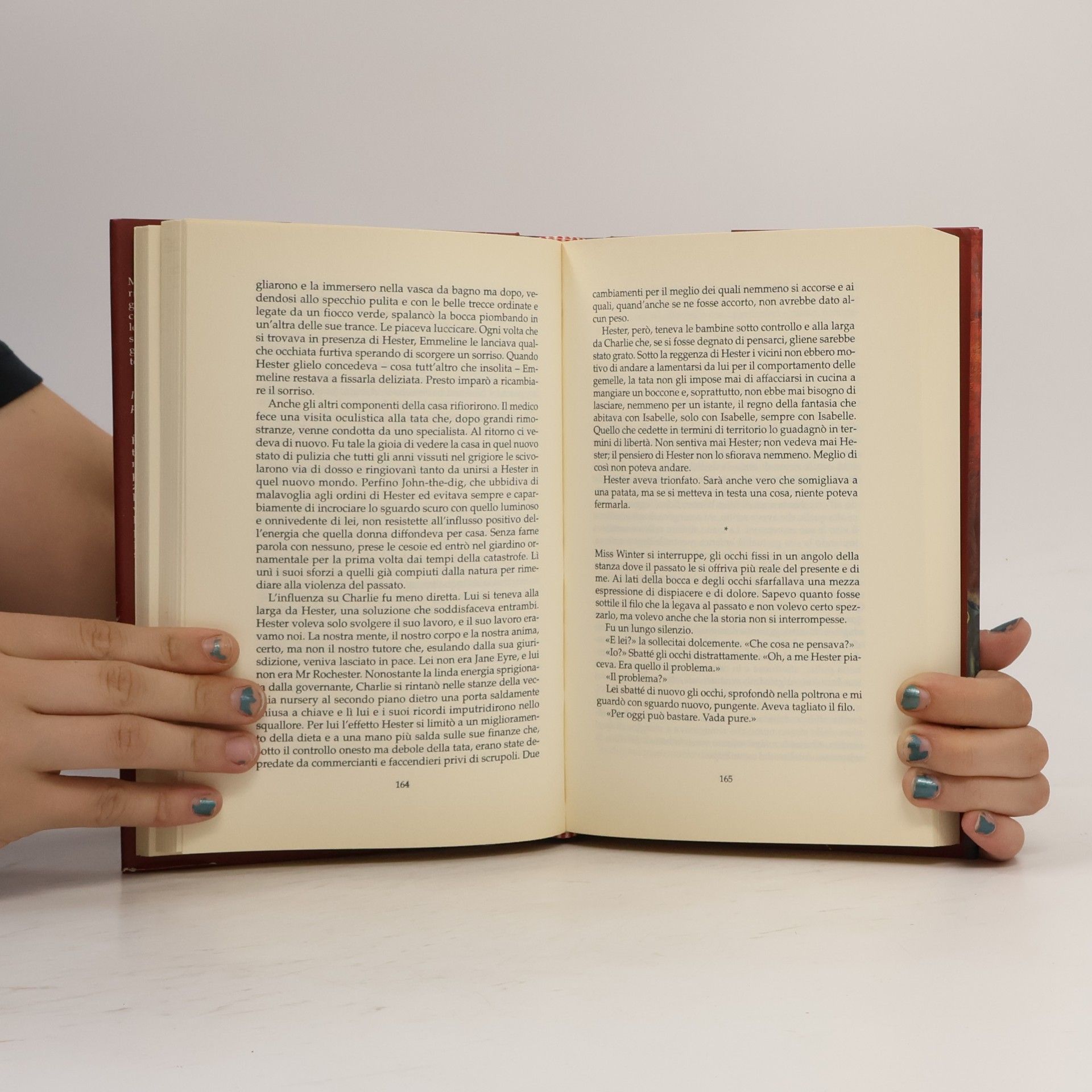Diane Setterfield La tredicesima storia