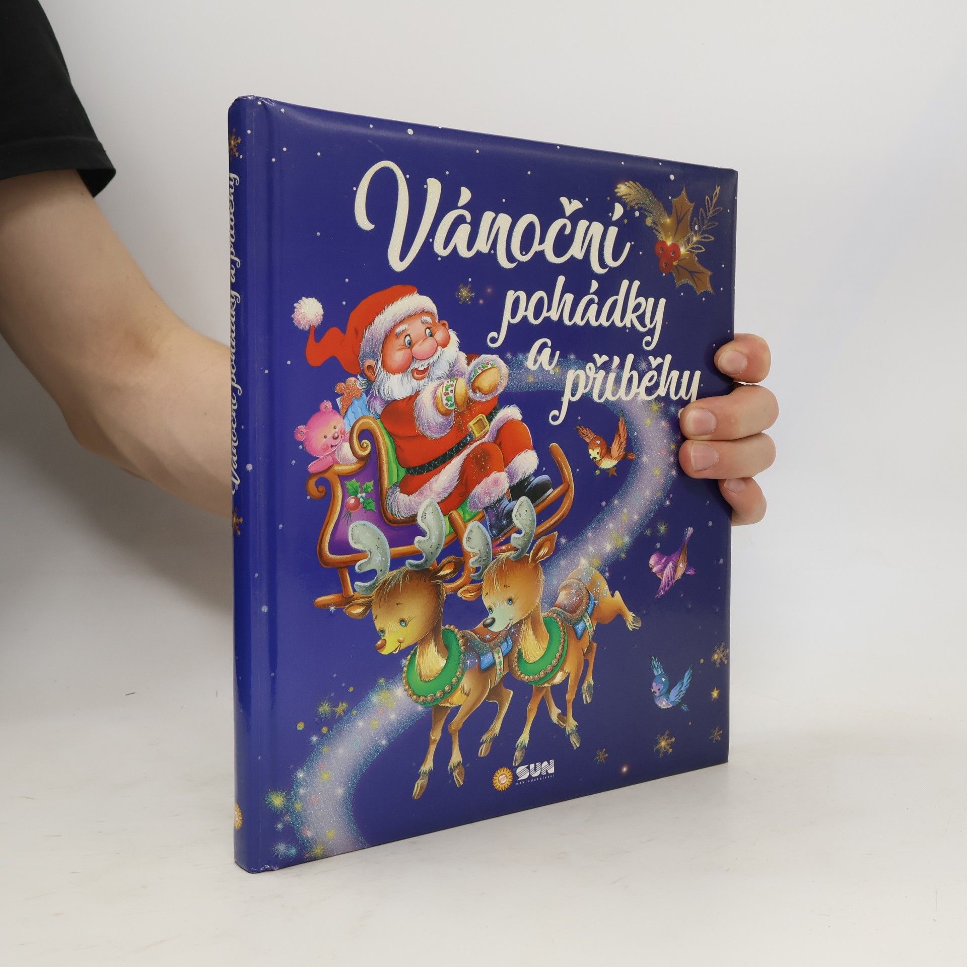Paul-Marie Duval Vánoční pohádky a příběhy