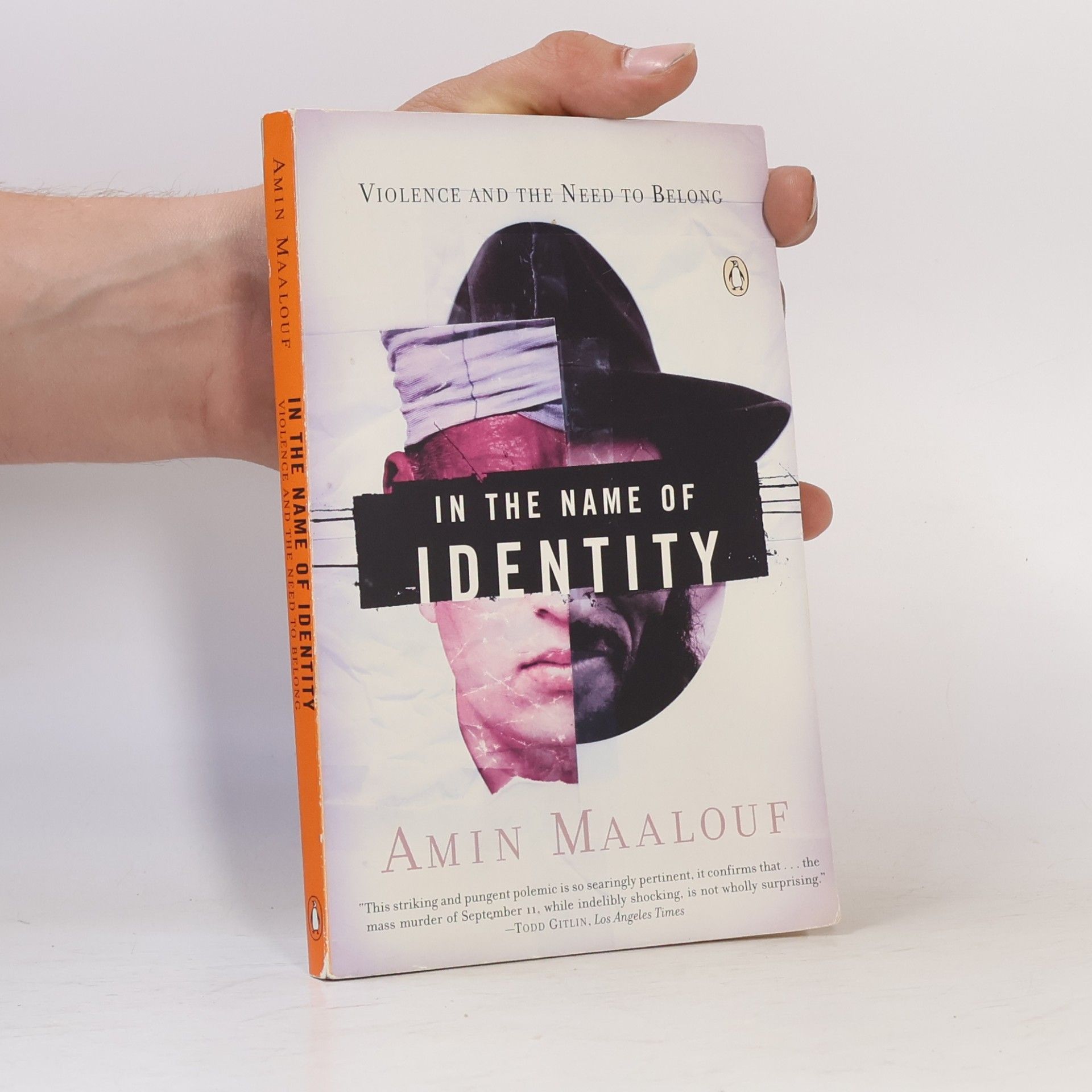 Barbara Bray In the Name of Identity