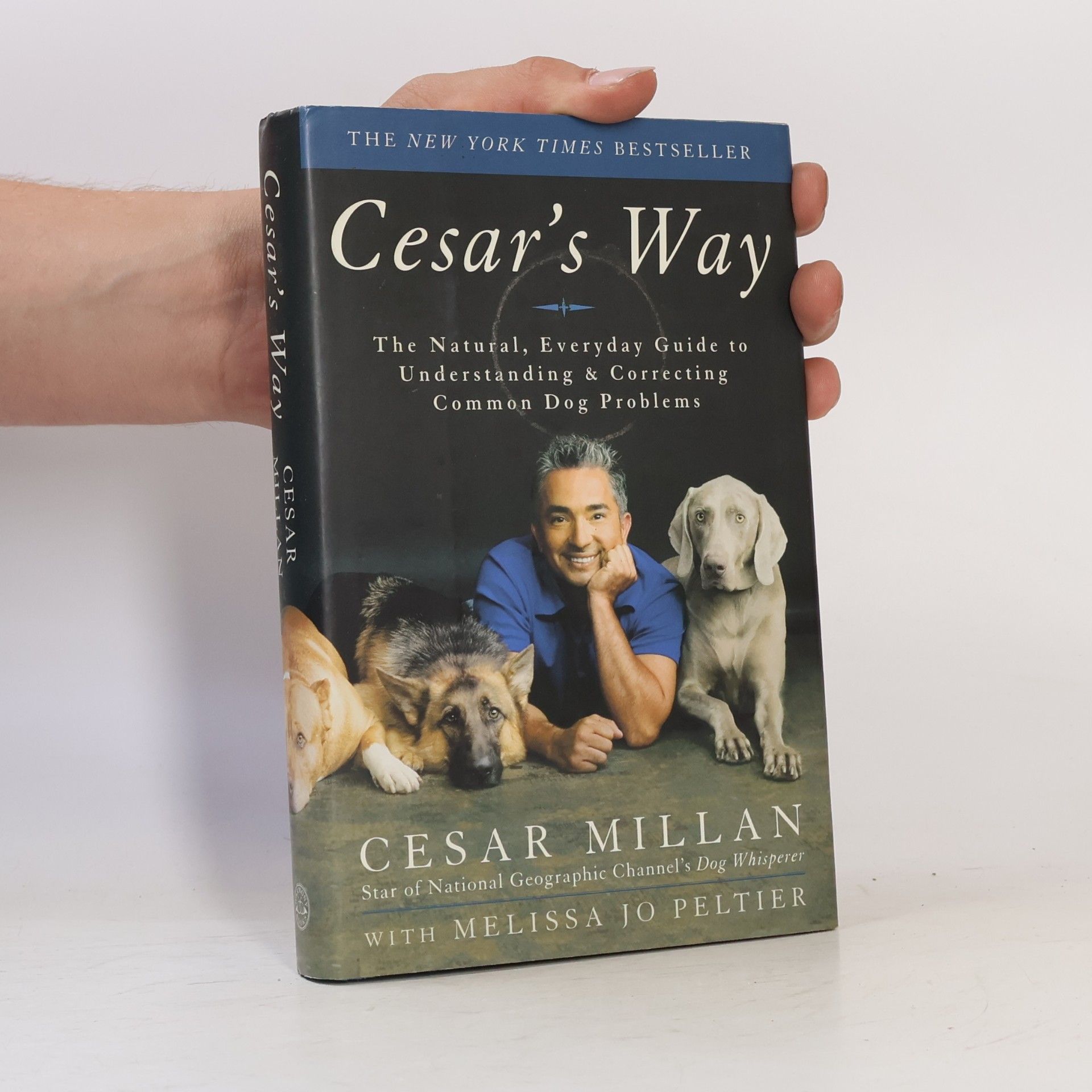 Cesar Millan Cesar's Way