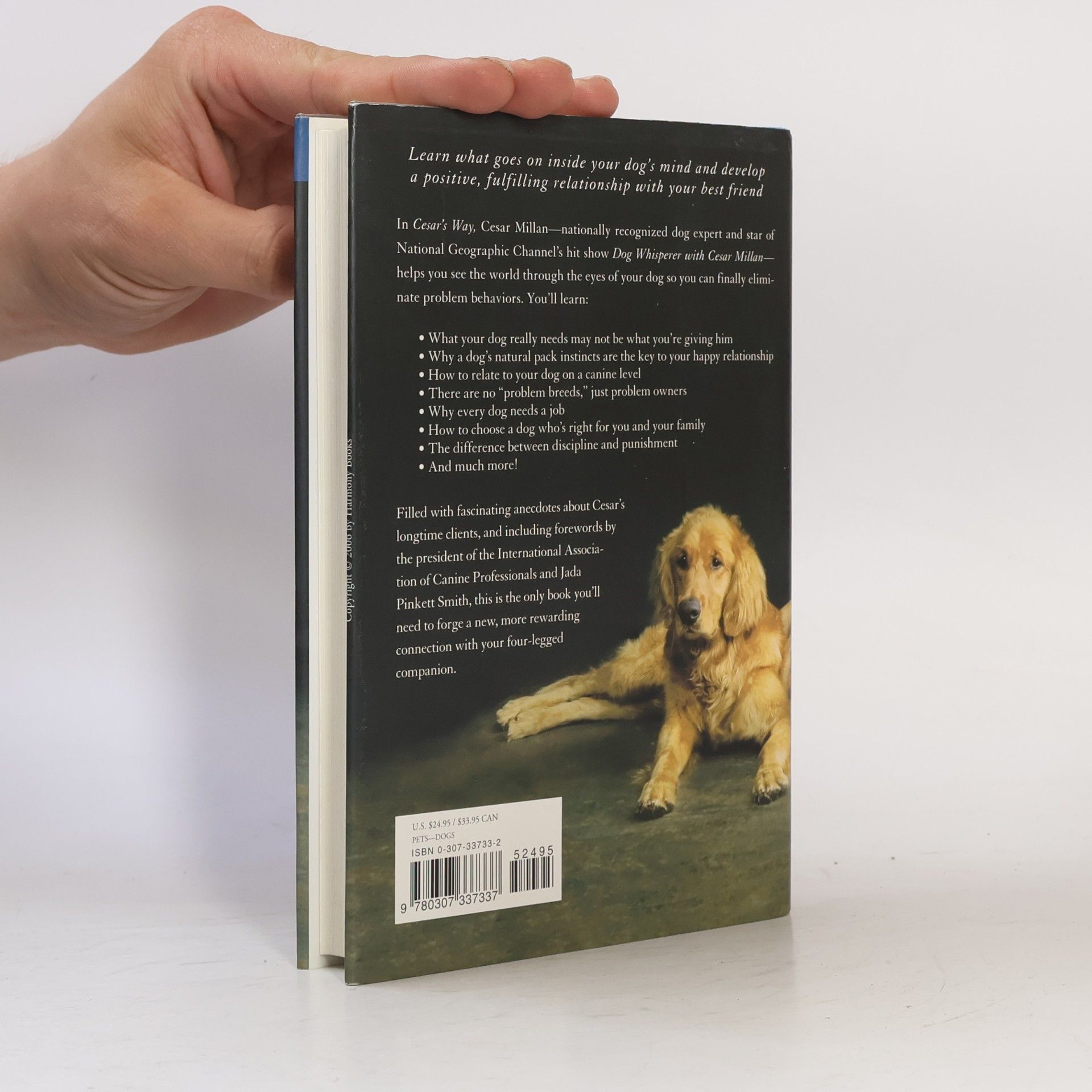 Cesar Millan Cesar's Way