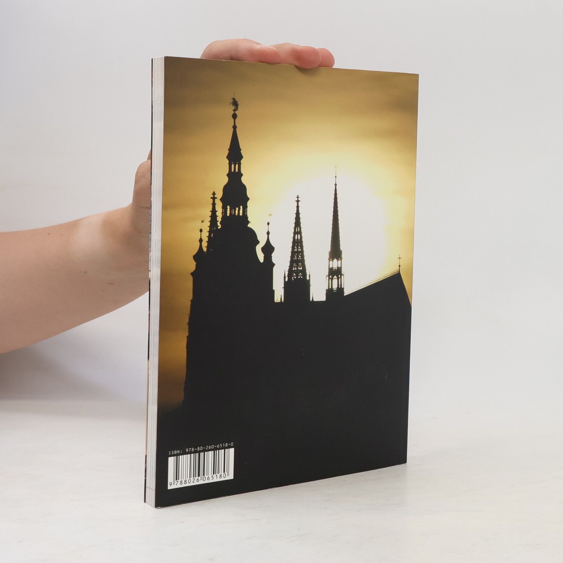 Luděk Sládek Pražský hrad. Nádvořími do zahrad