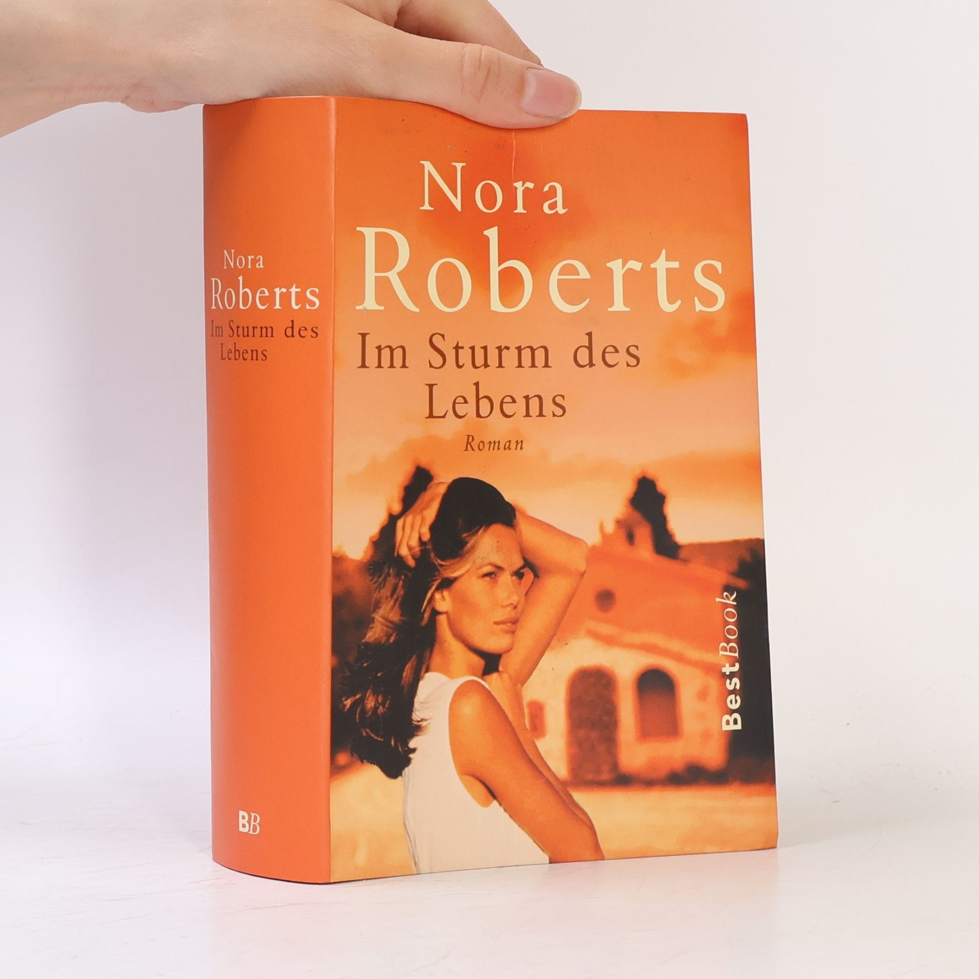 Nora Roberts Im Sturm des Lebens