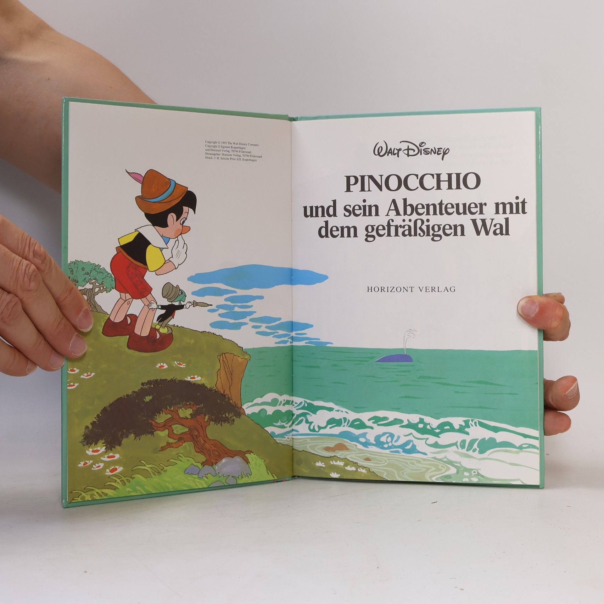 Autorenkollektiv Pinocchio und sein Abenteuer mit dem gefräßigen Wal