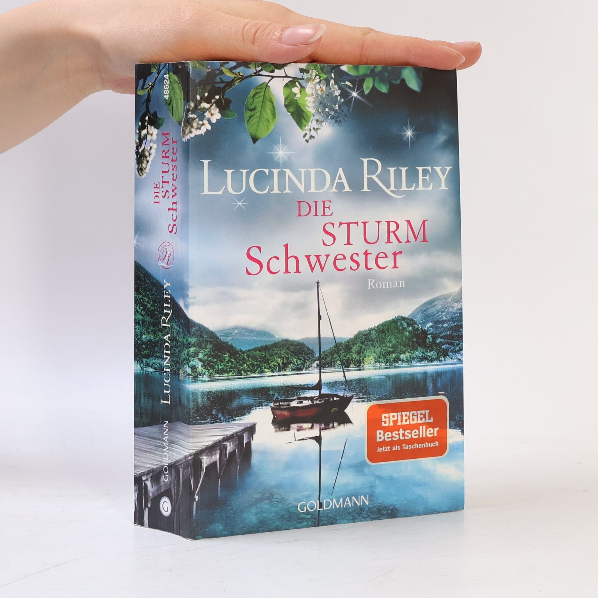 Lucinda Riley Die Sturmschwester