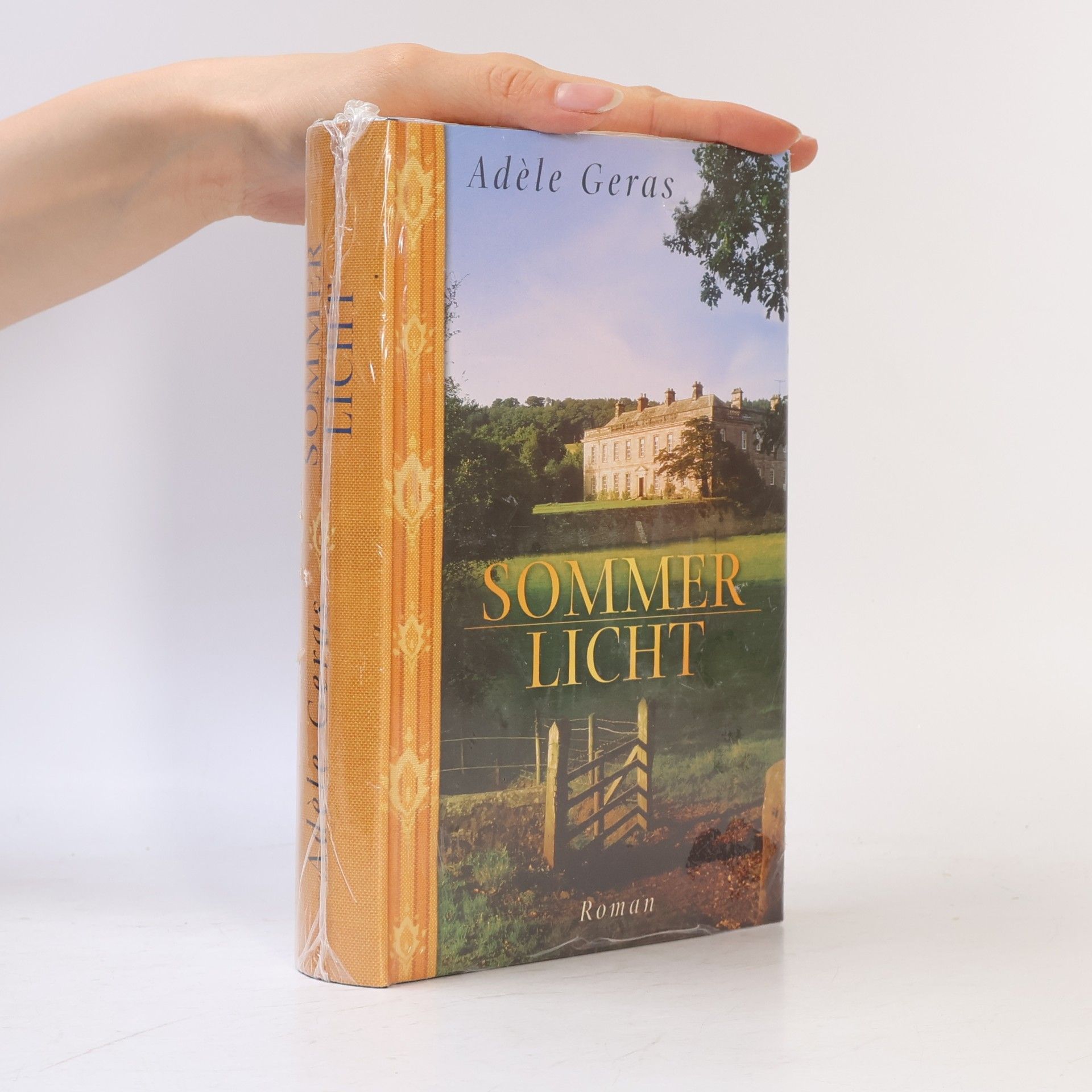 Adèle Geras Sommer Licht
