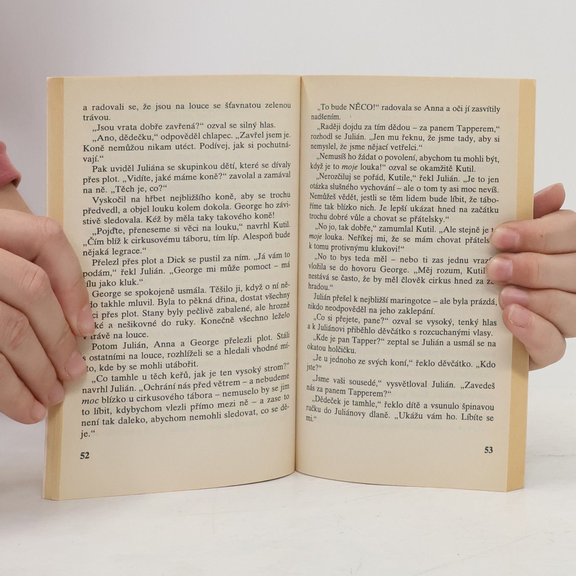 Enid Blyton Pětka a zloději