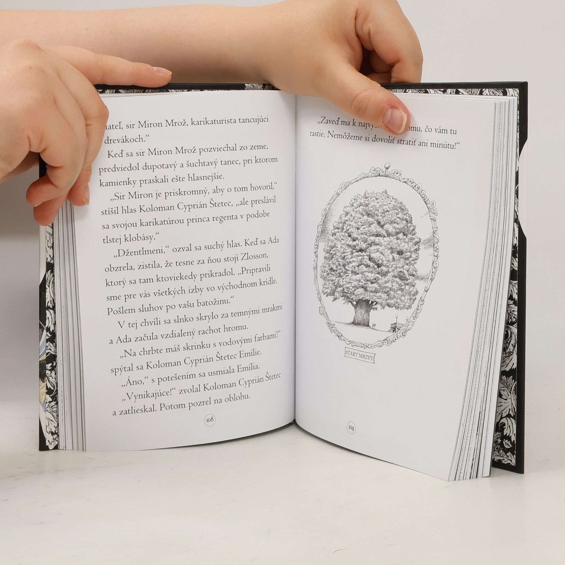 Chris Riddell Fantómová Ada a hrôzostrašná oslava