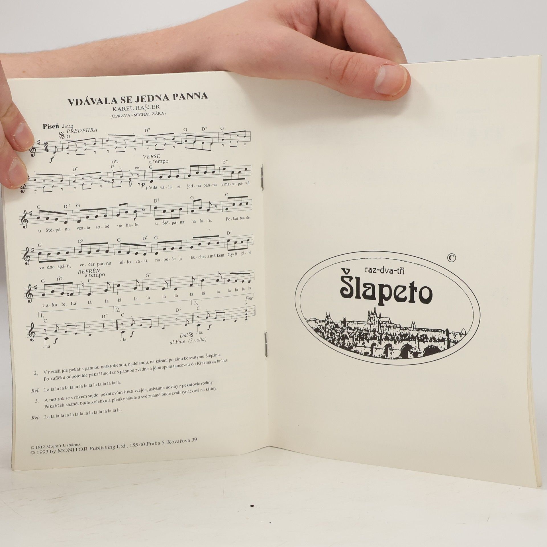 Various authors Šlapeto. Hašlerky