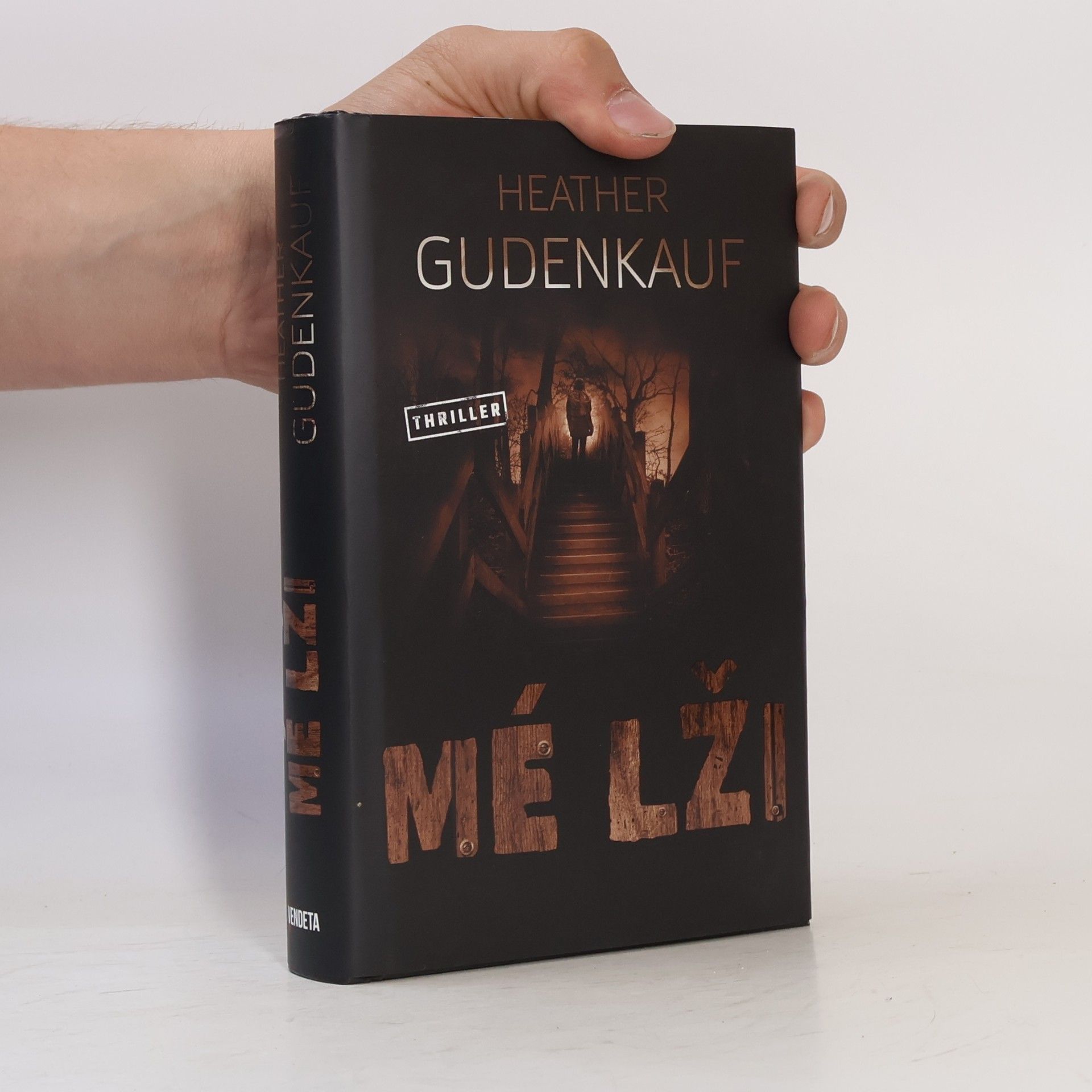 Heather Gudenkauf Mé lži