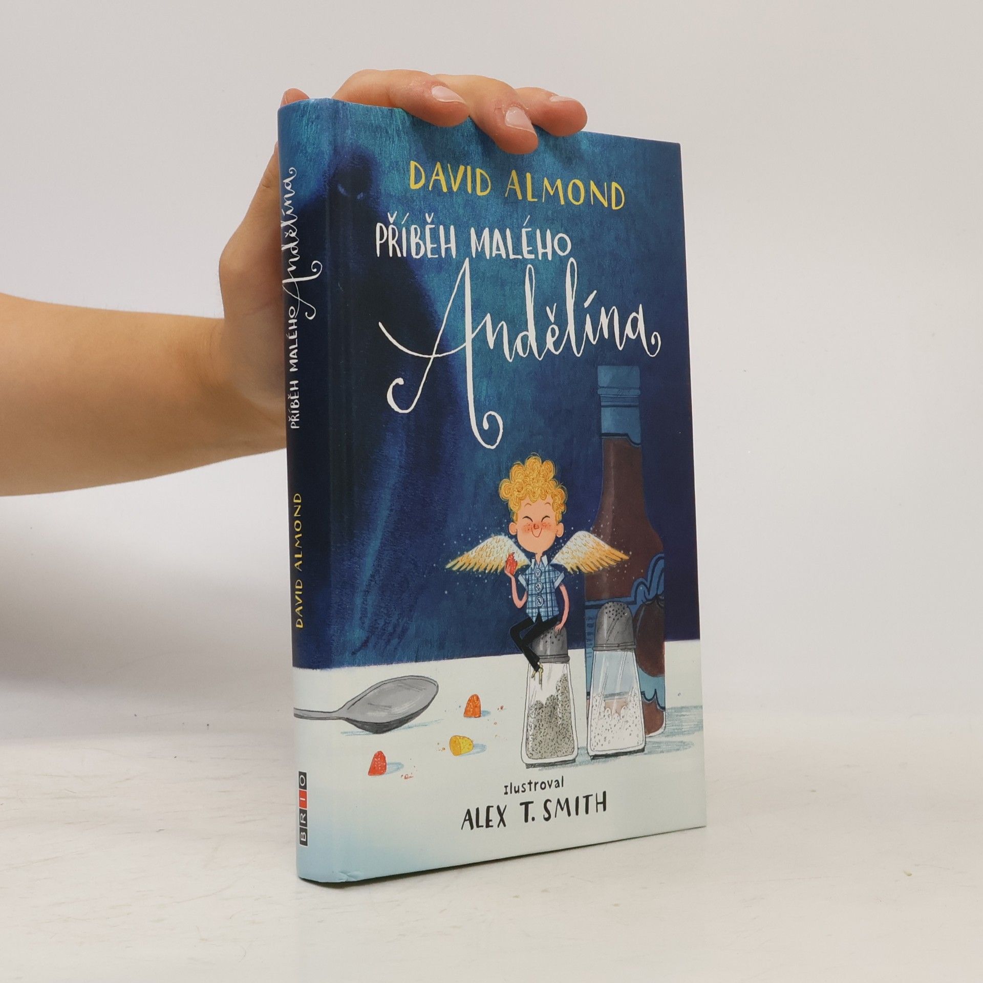 David Almond Příběh malého Andělína