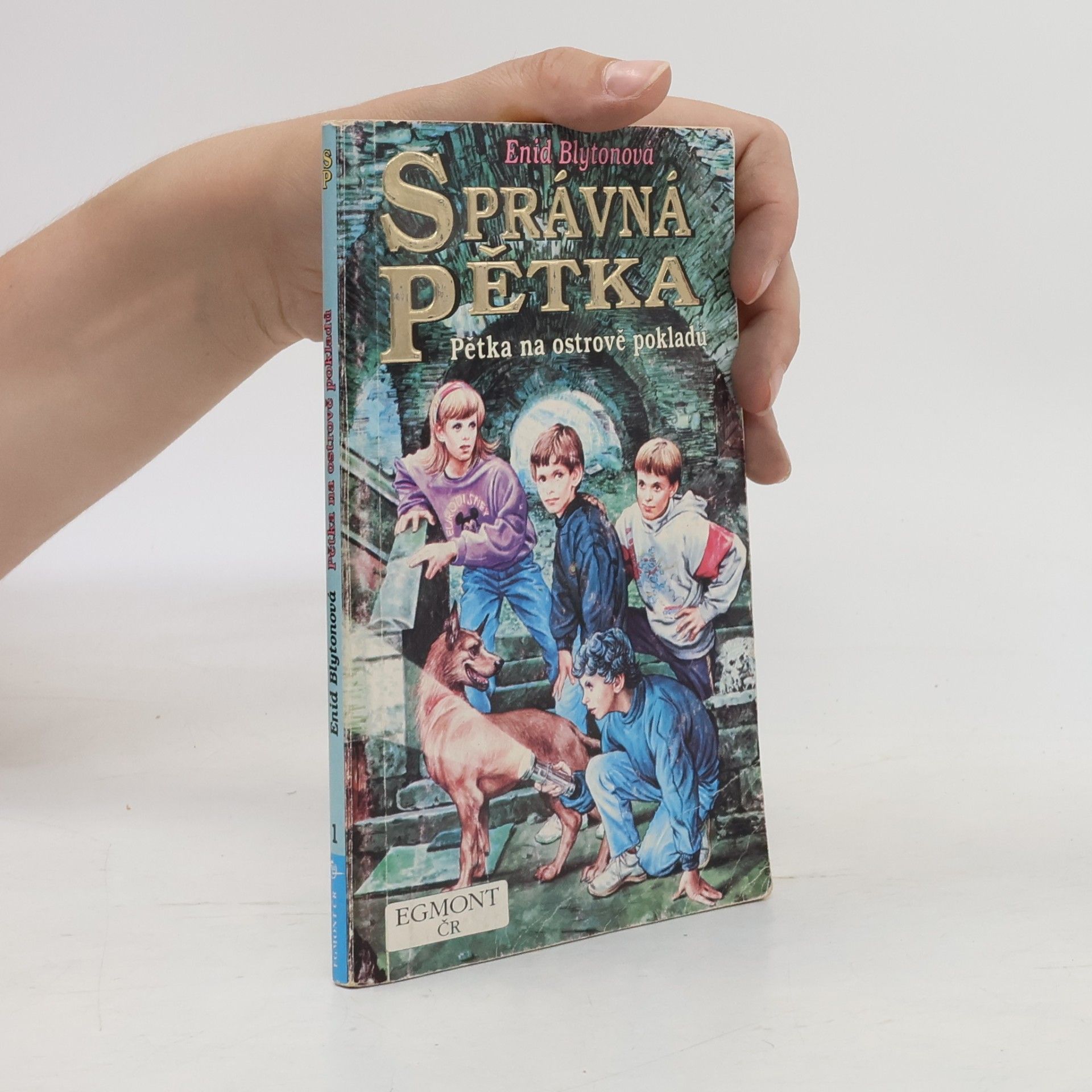 Enid Blyton Správná pětka, Pětka na ostrově pokladů