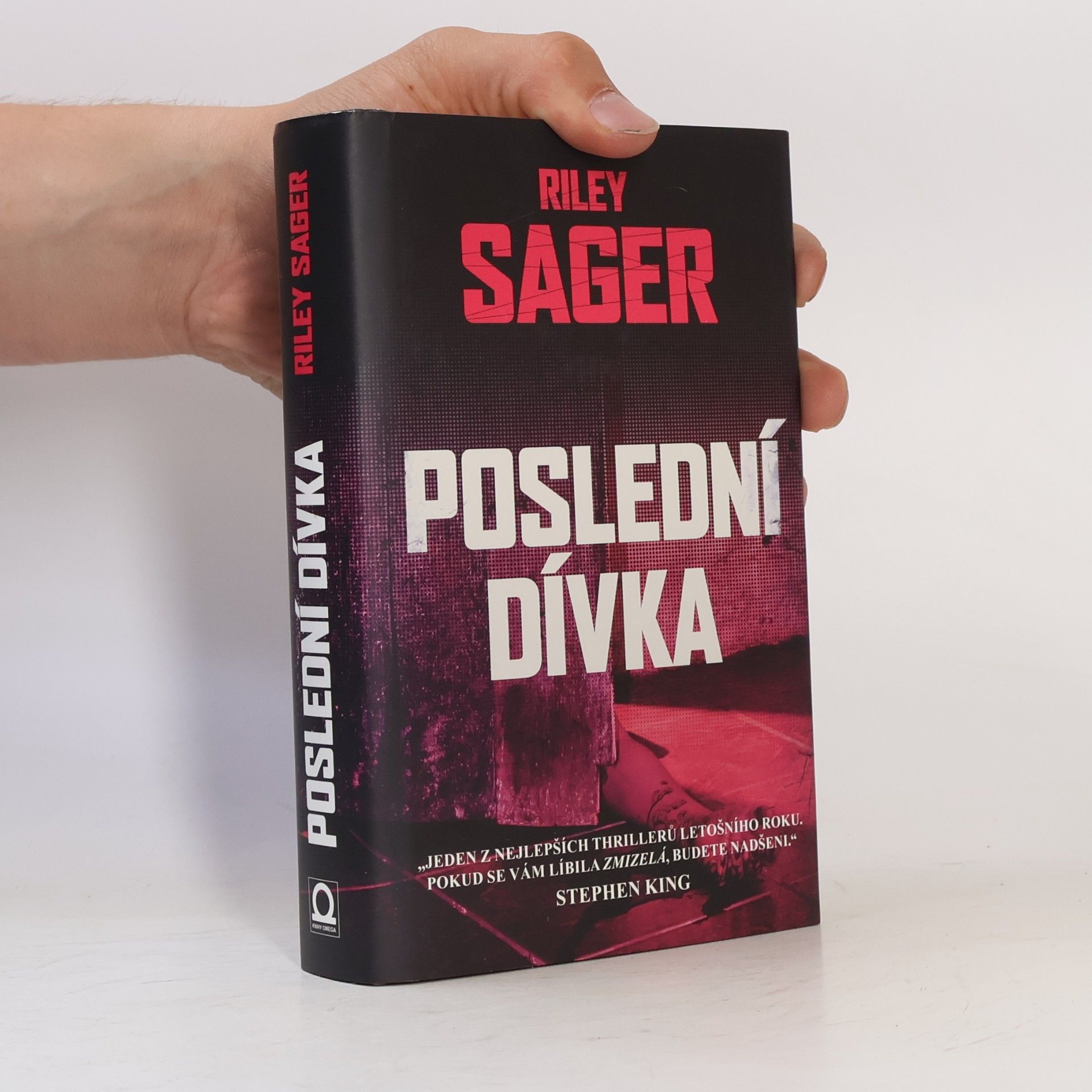 Todd Ritter Poslední dívka